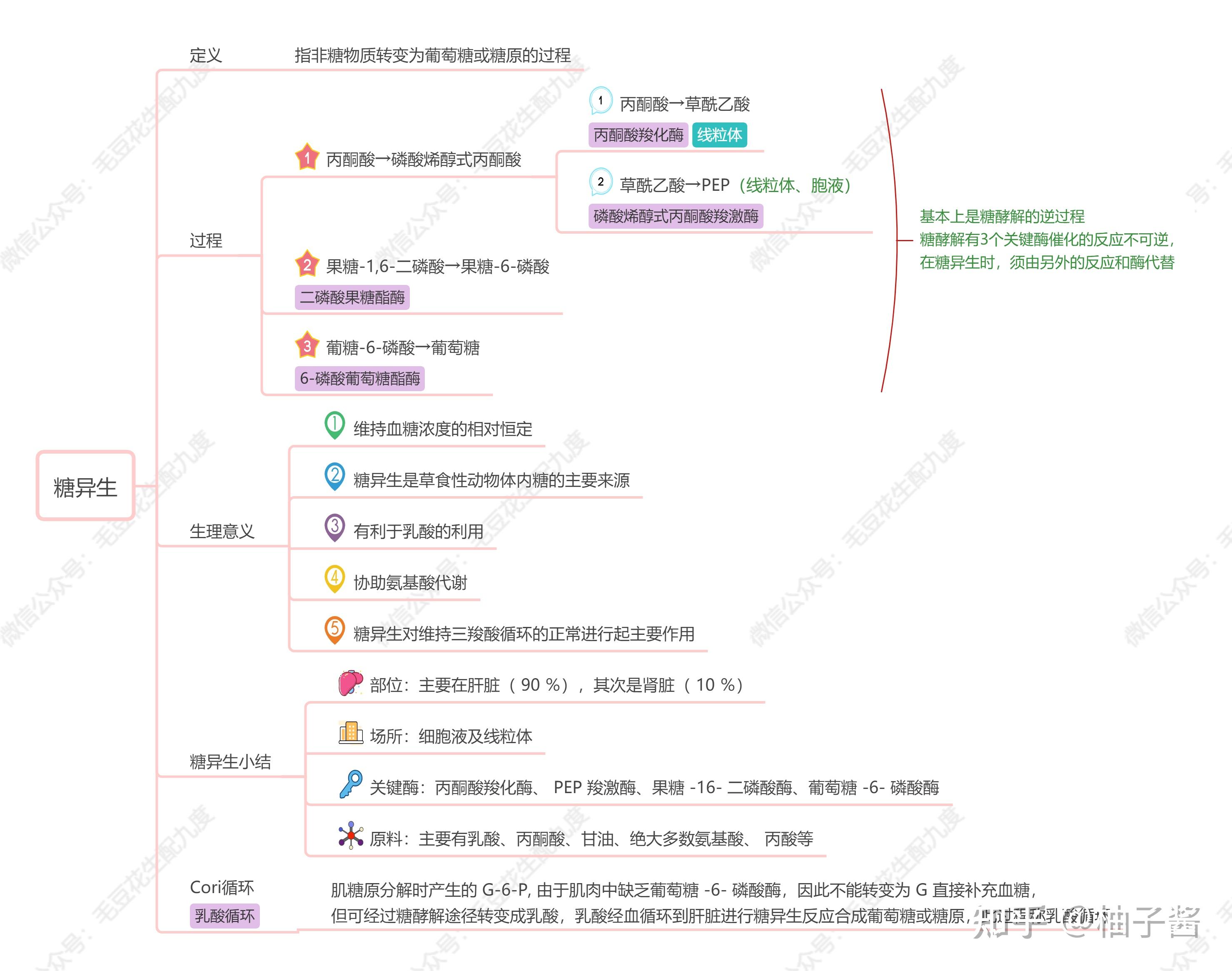 糖的制作过程思维导图图片