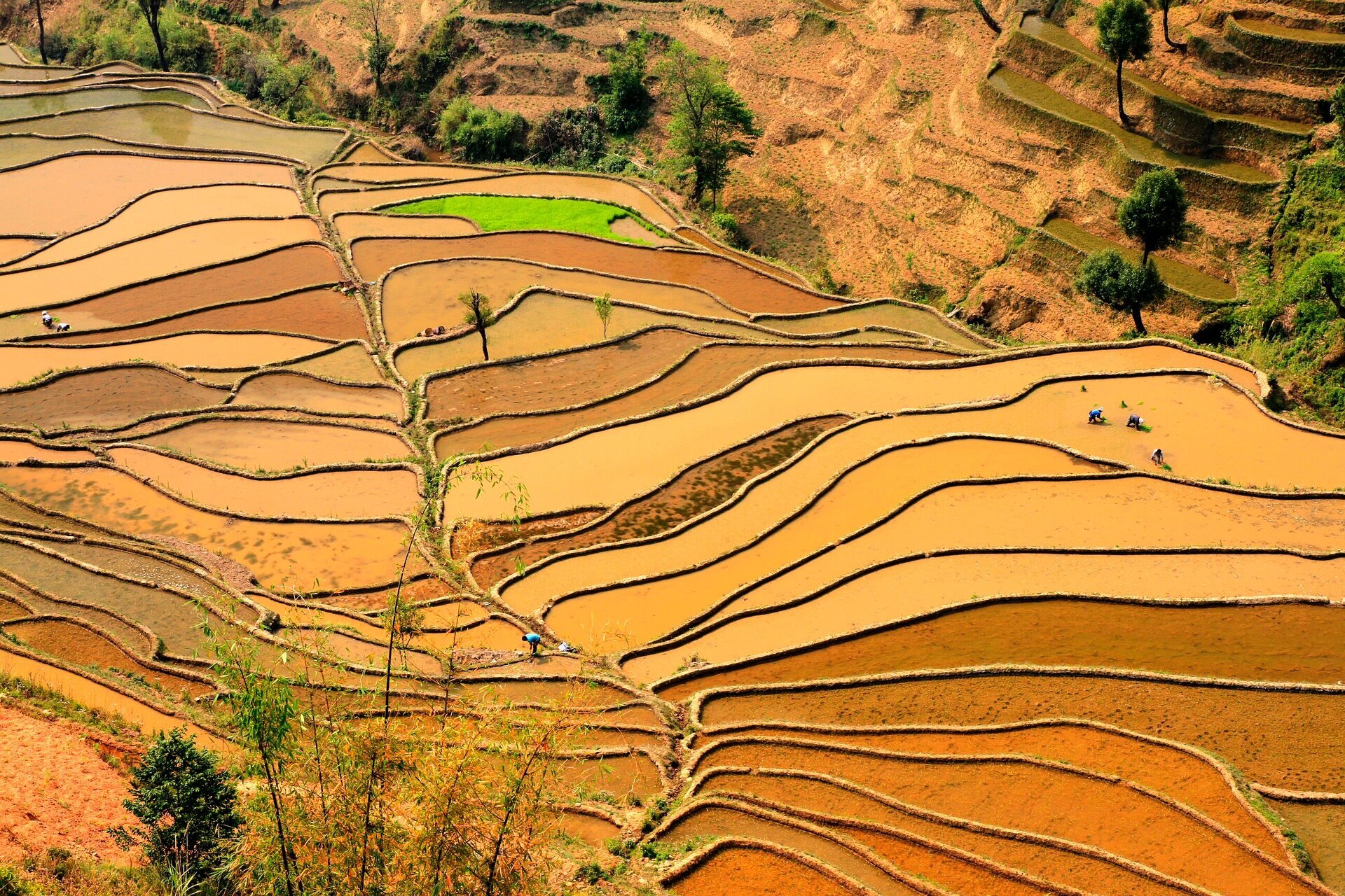 这个最小众的梯田,四季更替如斯美丽 云南省红河县宝华镇—期垤村!