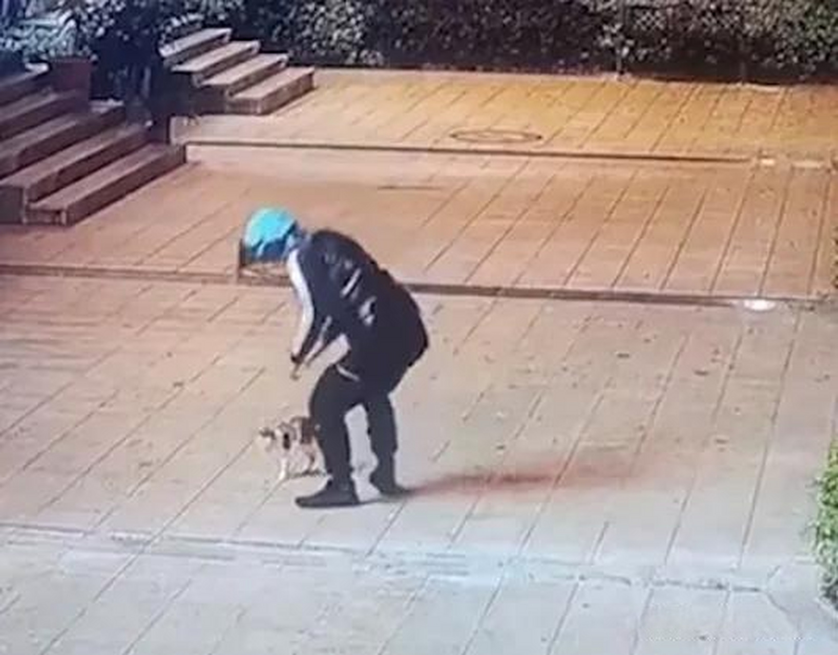 【男子当街拎起小猫反复狠摔踩踏】10月23日,广东.