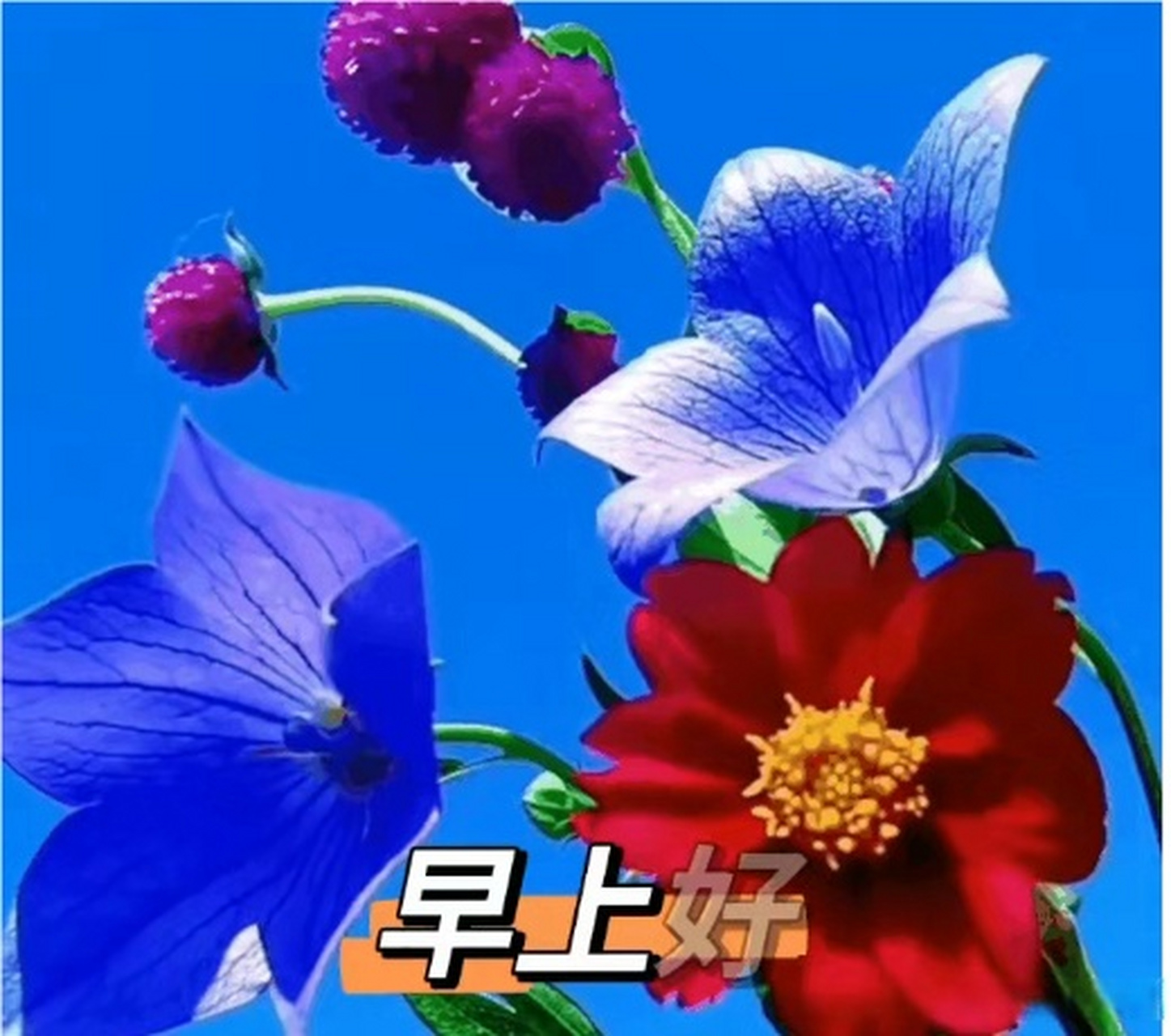 感恩#心存善念天必佑之.感恩上天保佑,越來越好.