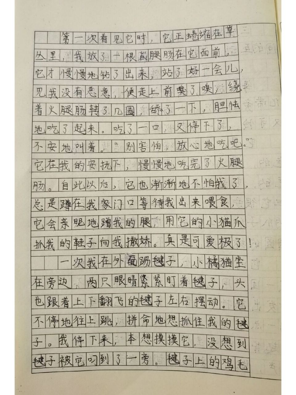 四下《我的动物朋友—小橘猫》 #四年级作文# #四年级语文