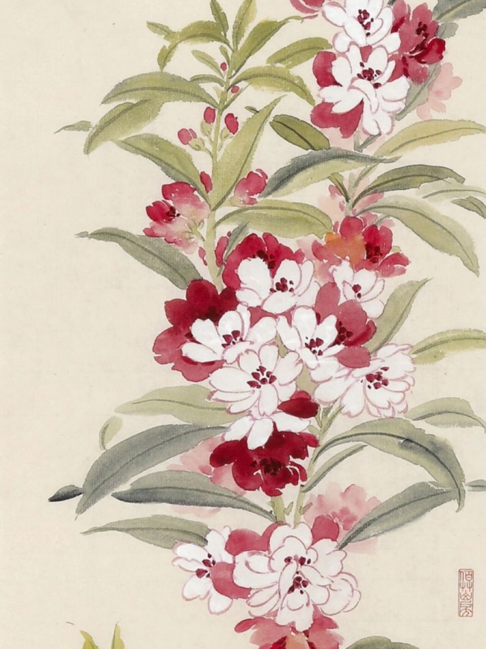 凤仙花 凤仙花也叫指甲花 凤仙花的花语是别碰我,为什么会有着这样的