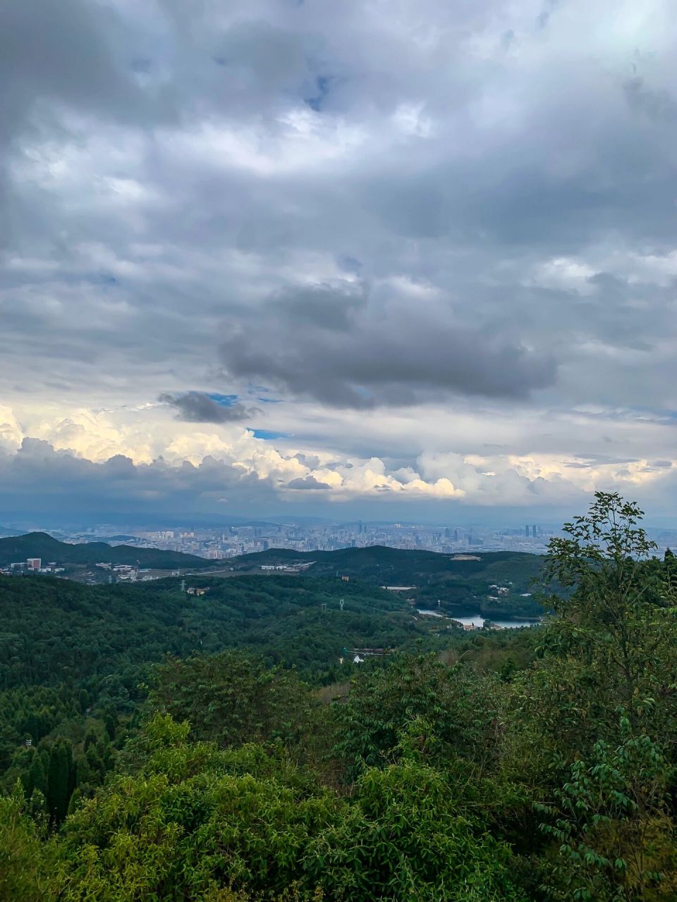 棋盘山国家森林公园  这是昆明超小众的一座森林公园,游客不多,山顶有