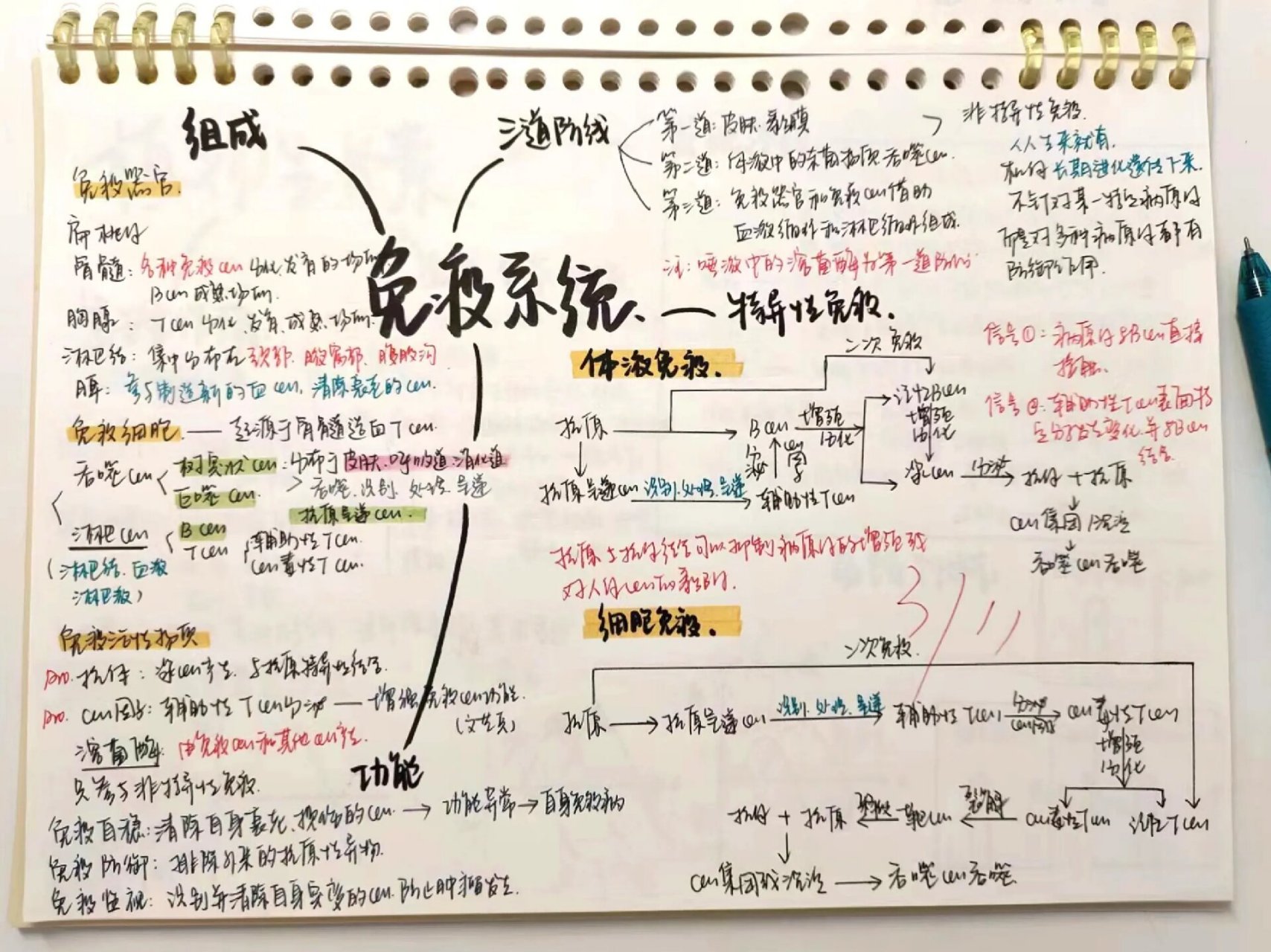 生物免疫调节思维导图图片