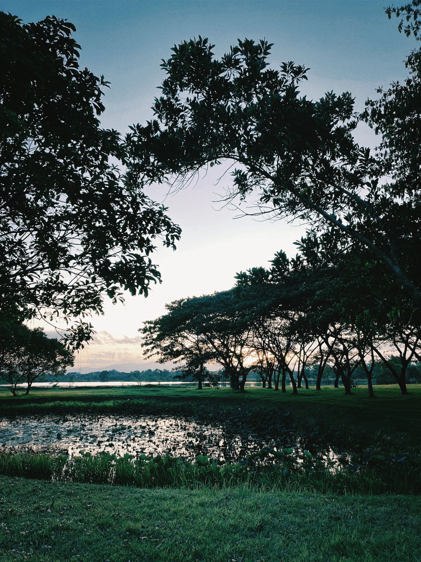 泰国洛坤府 walailak @风不欢溺渁的动态