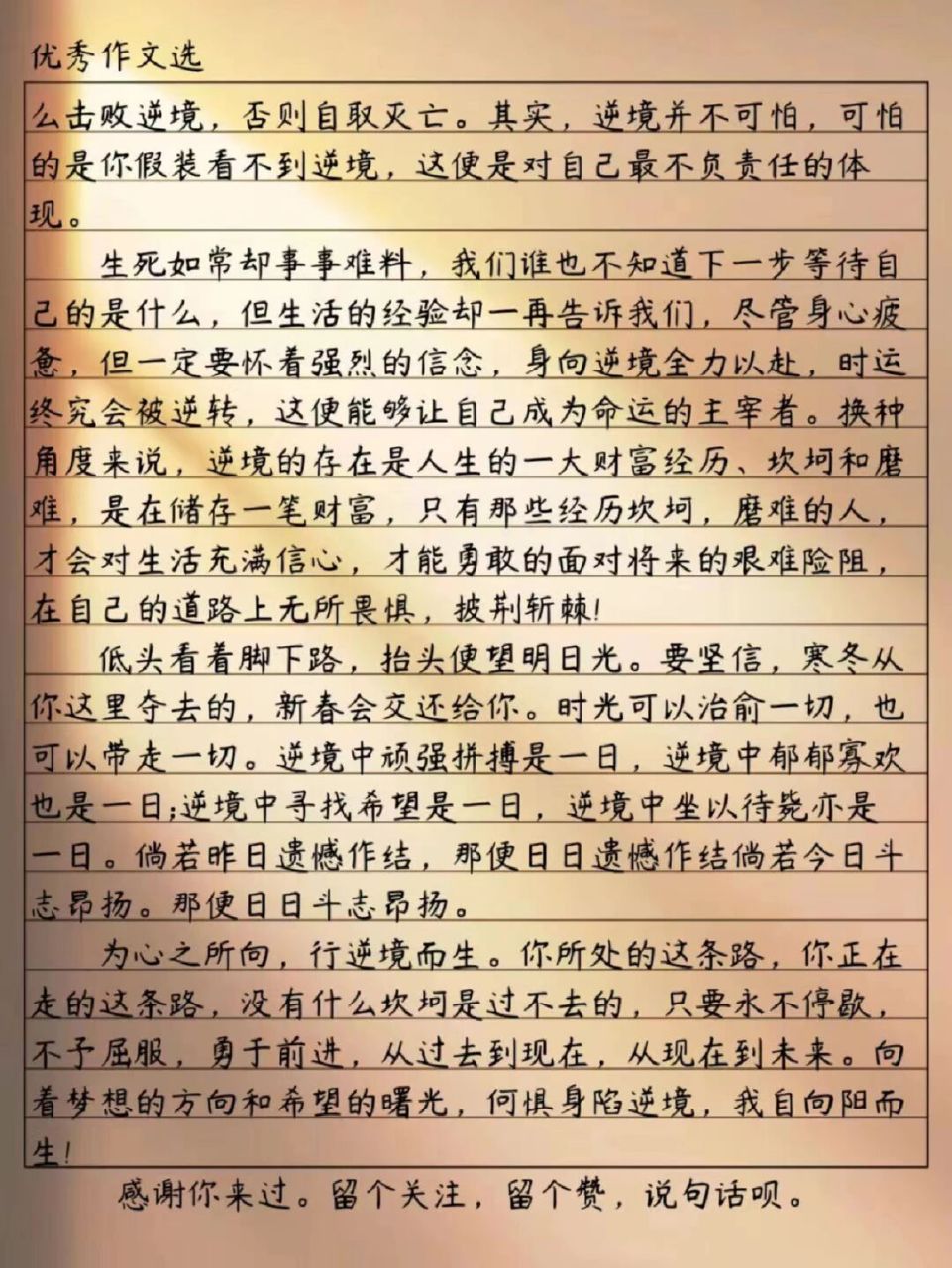 何惧逆境向阳而生,正能量励志作文素材收藏