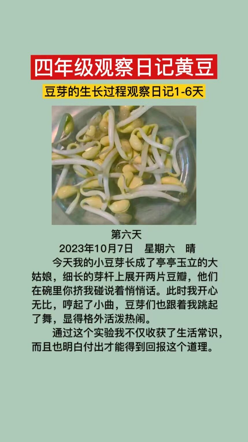 第三单元黄豆发芽生长过程观察日记400字左右,黄豆1