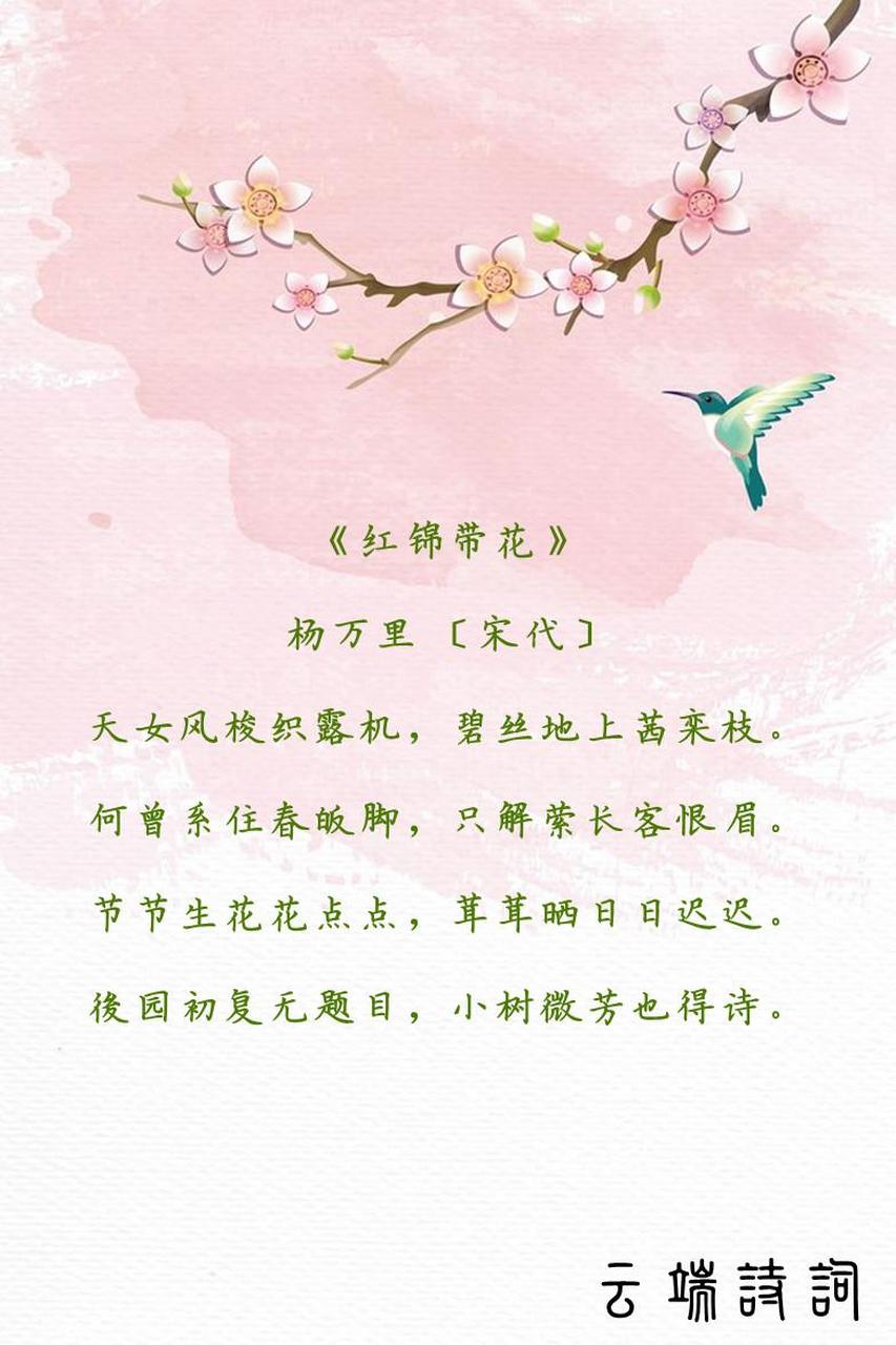 锦带花唯美图片