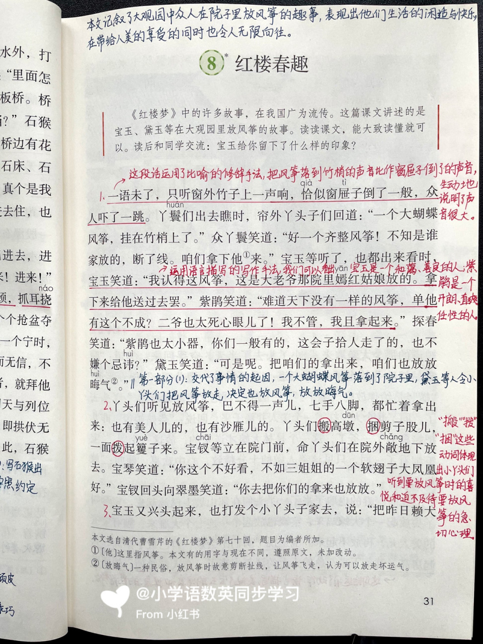 五下|五年级下册课文8《红楼春趣》超详细笔记 部编版小学语文五年级
