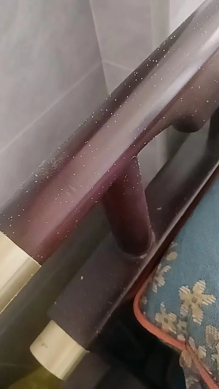 床上出现白色灰尘小虫子,尘虱对人有那些危