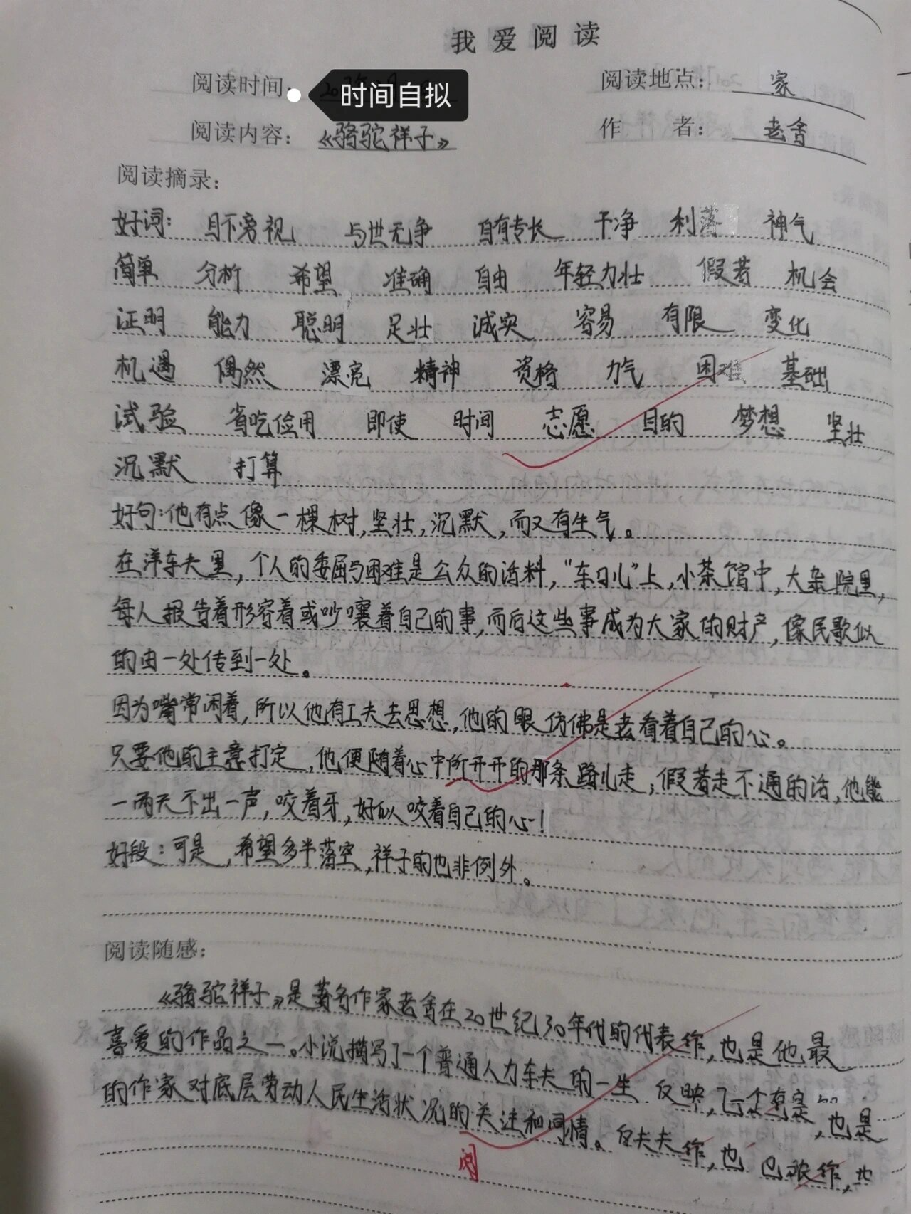 骆驼祥子读书笔记好词好句心得体会(1)