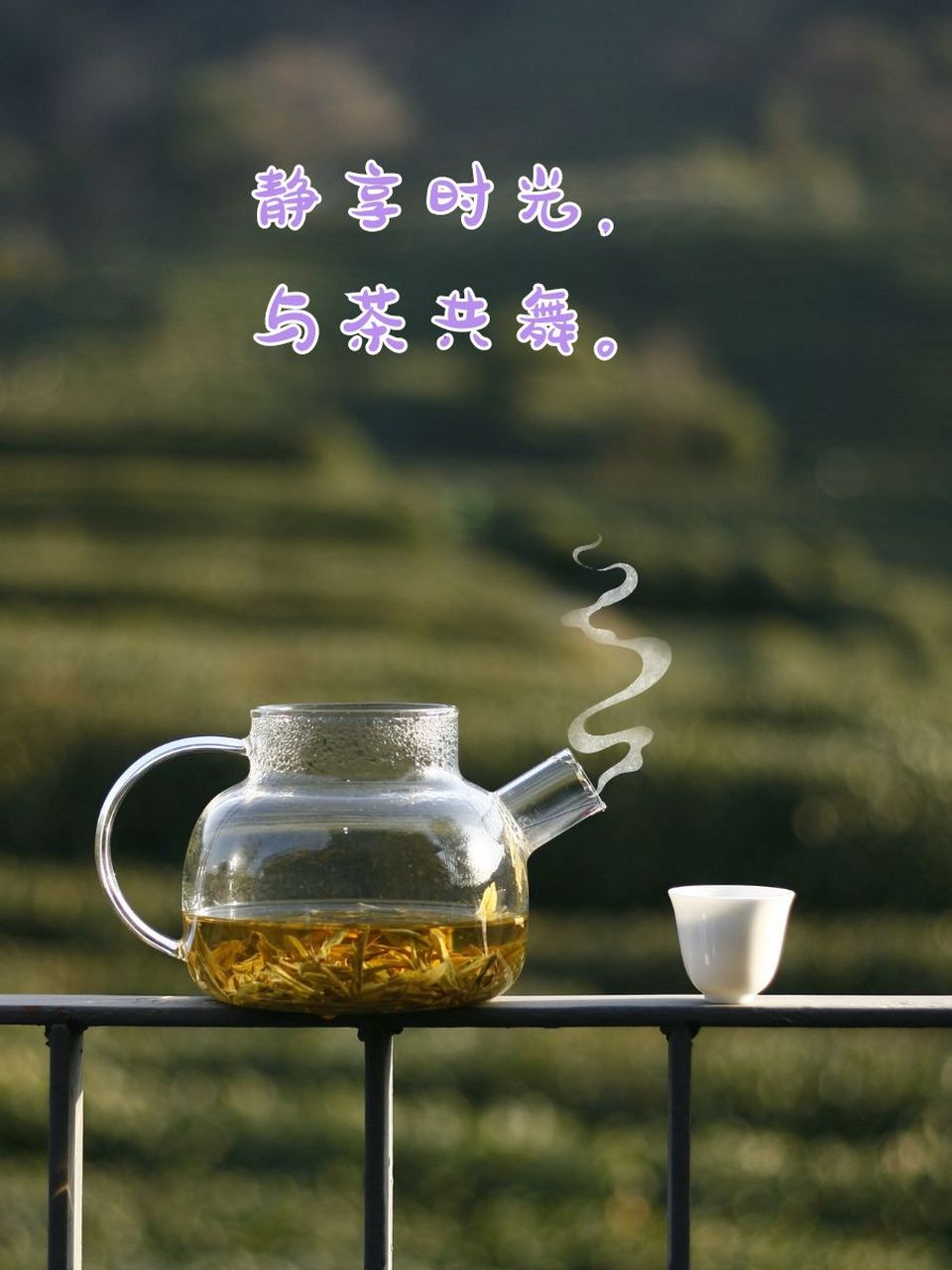 茶禅 唯美意境图片