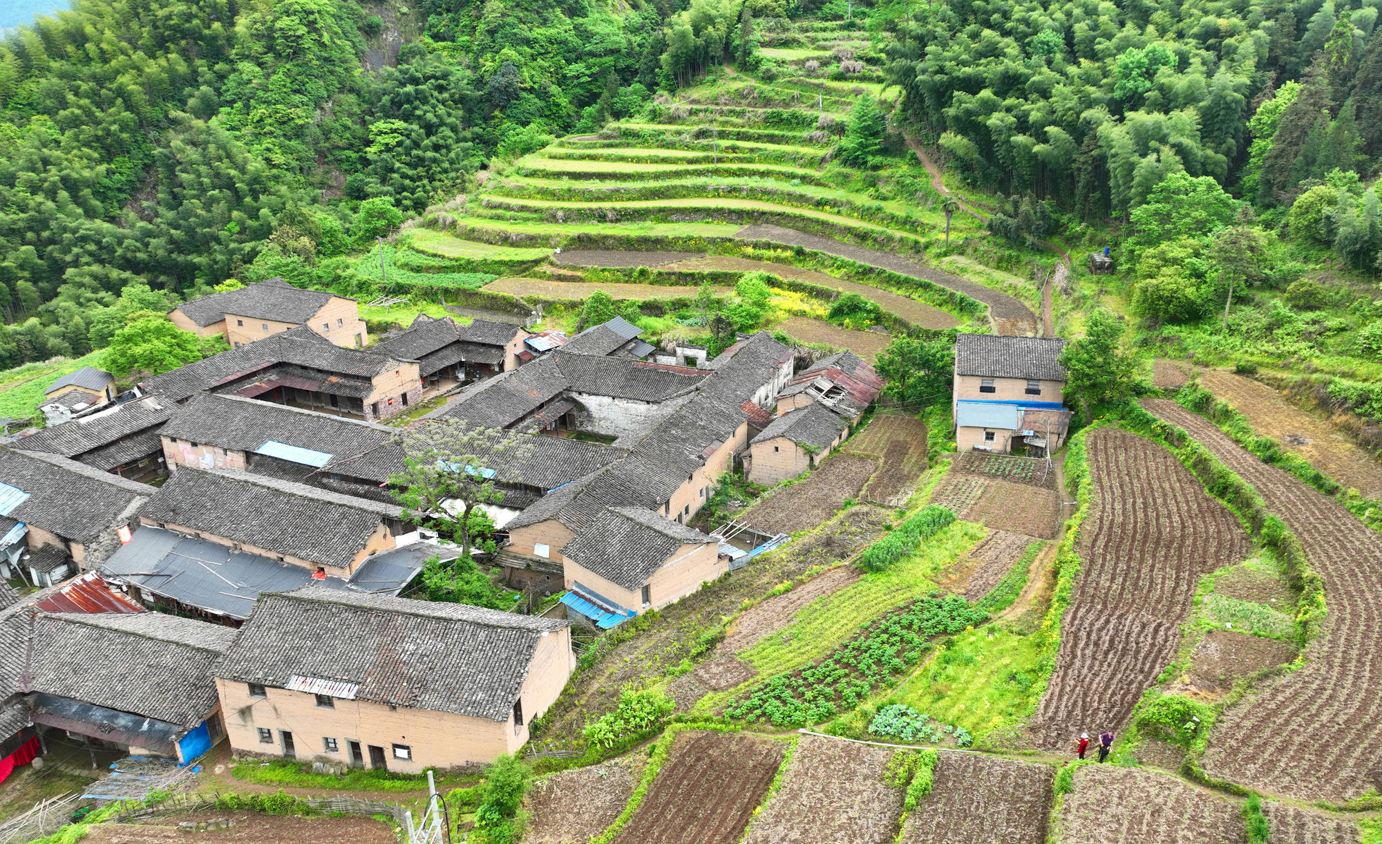 仙居公盂村图片