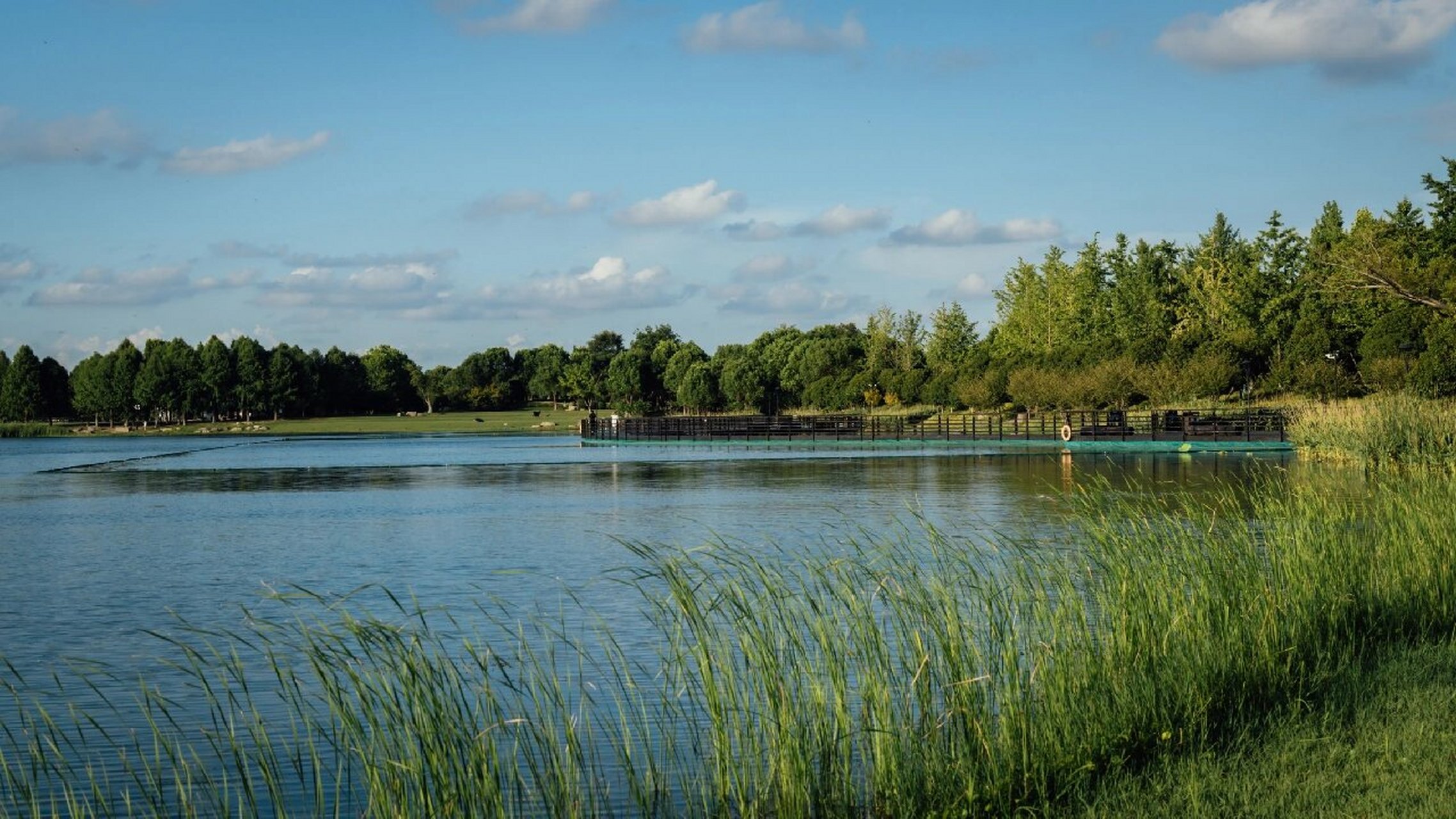 桐乡|凤凰湖 风光篇