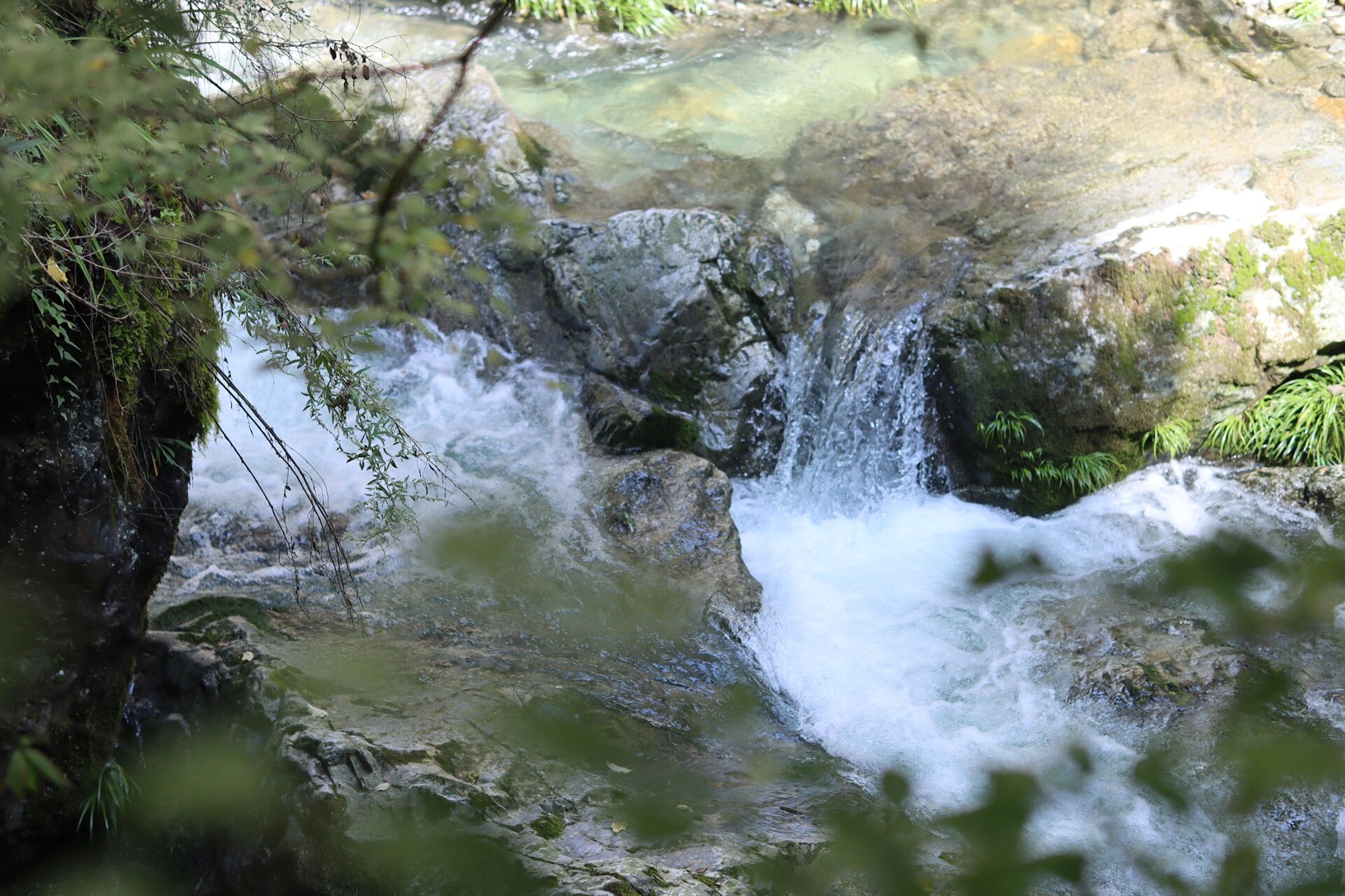 十堰房县野人谷 山清水秀,一路上游客极少,特别安静,静到只能听见流水