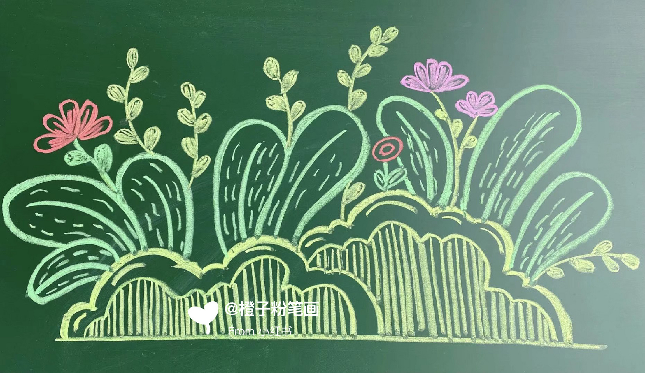 新学期黑板报插图花卉集合,后附单张图.