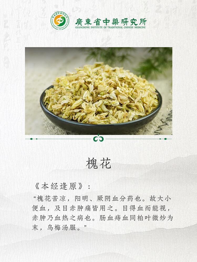 91广东省中药研究所中药每日科普-槐花 槐花 《本经逢原》:"槐花苦