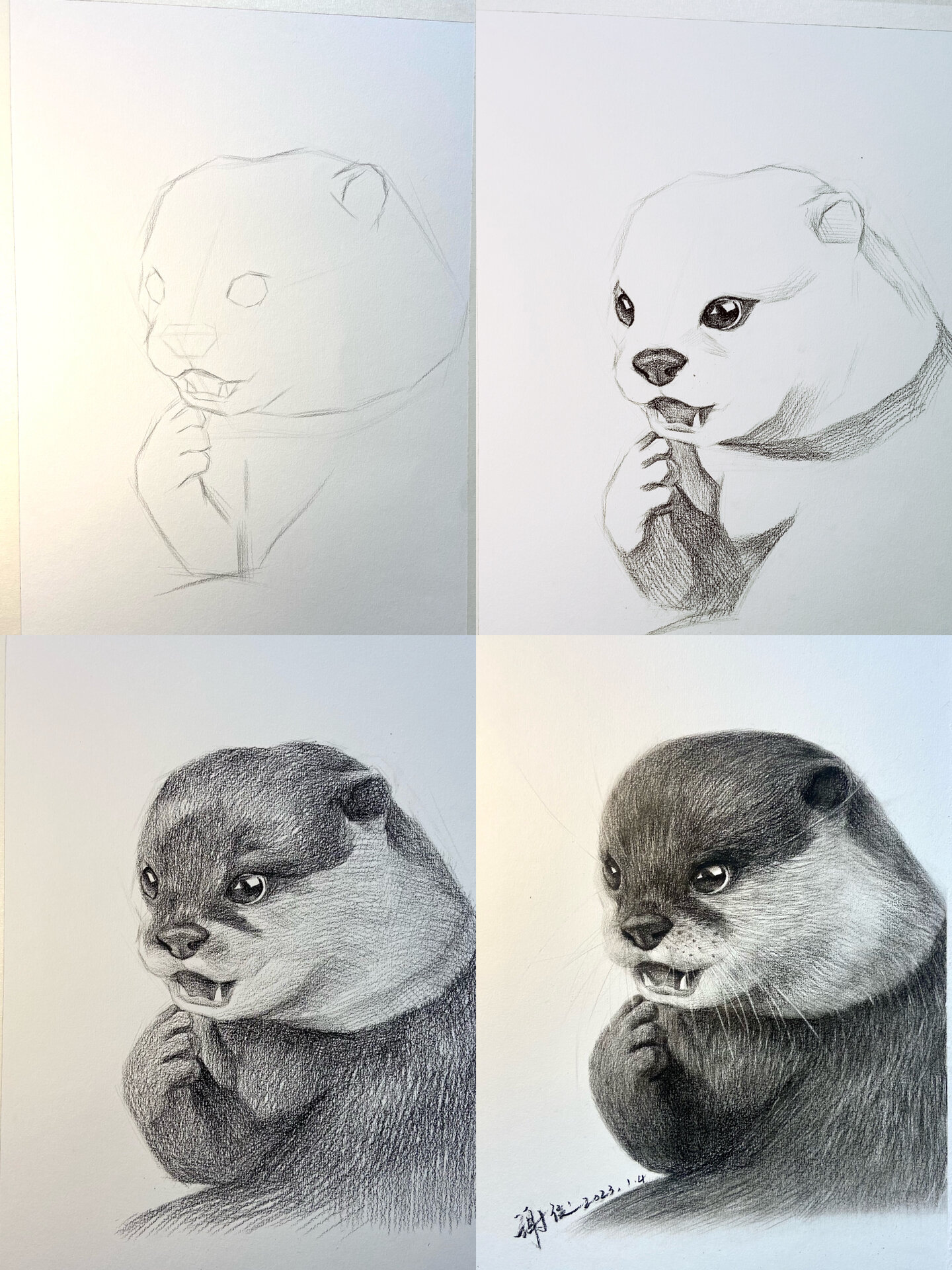 附过程图 这只水獭太可爱了吧!