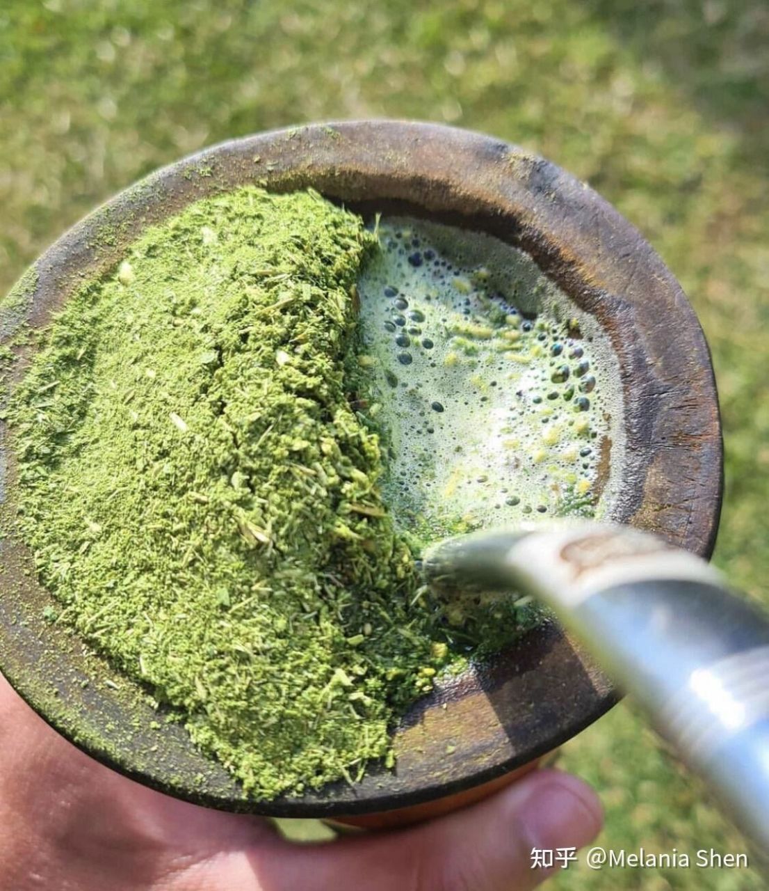 马黛茶 (chá matte) 马黛茶是一种由一种叫做马黛(学名 ilex