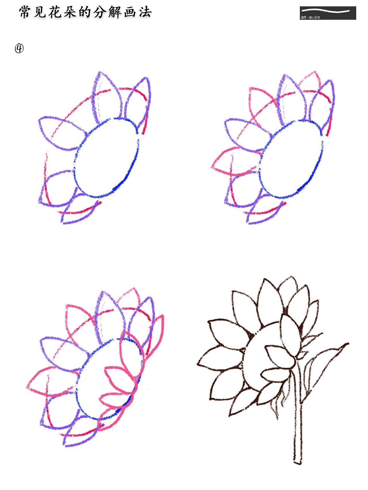 插画教程|常见花朵的分解画法