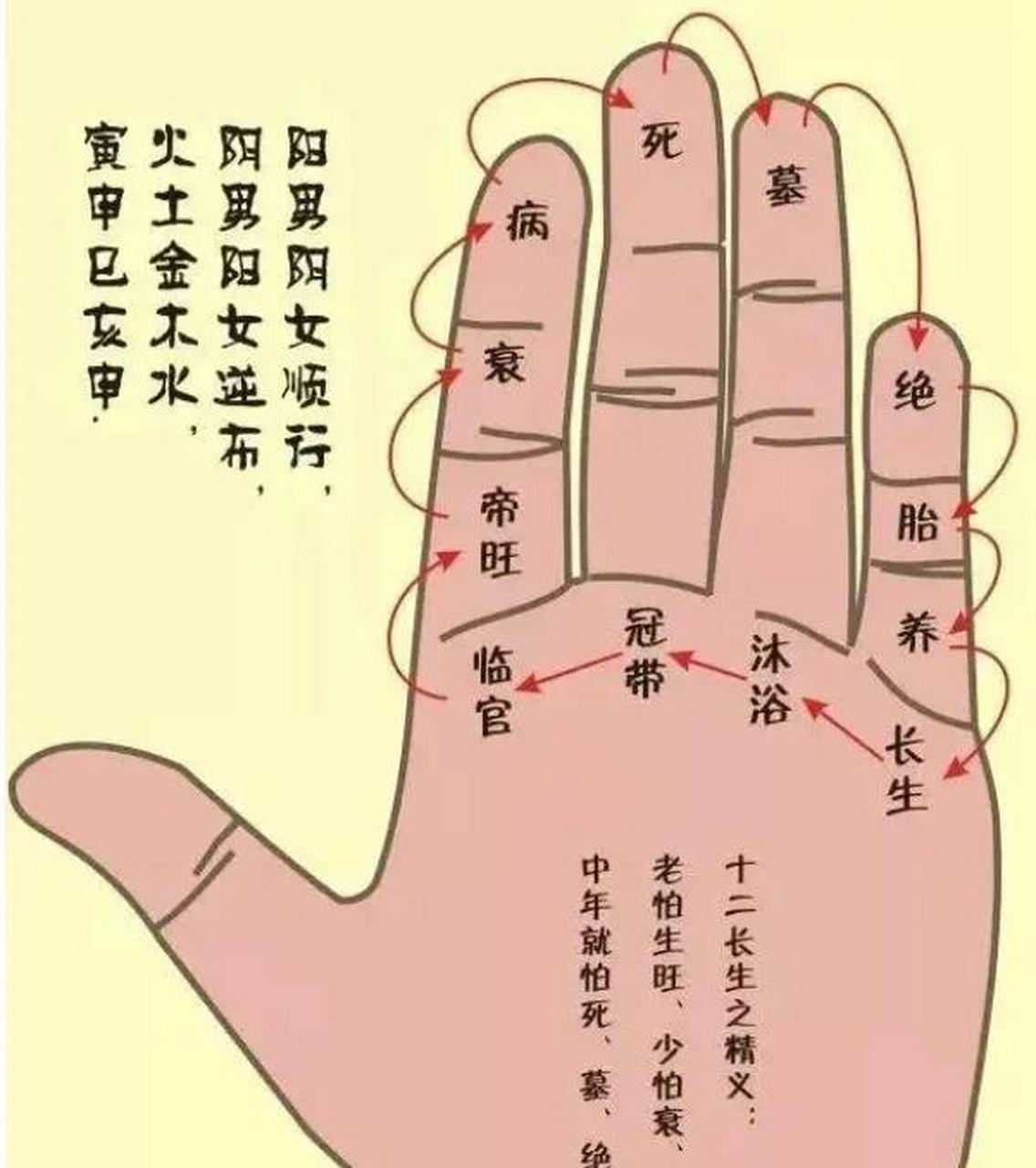 第十章 地支藏干和十二长生 地支藏干 天干与地支的生克关系,并不是