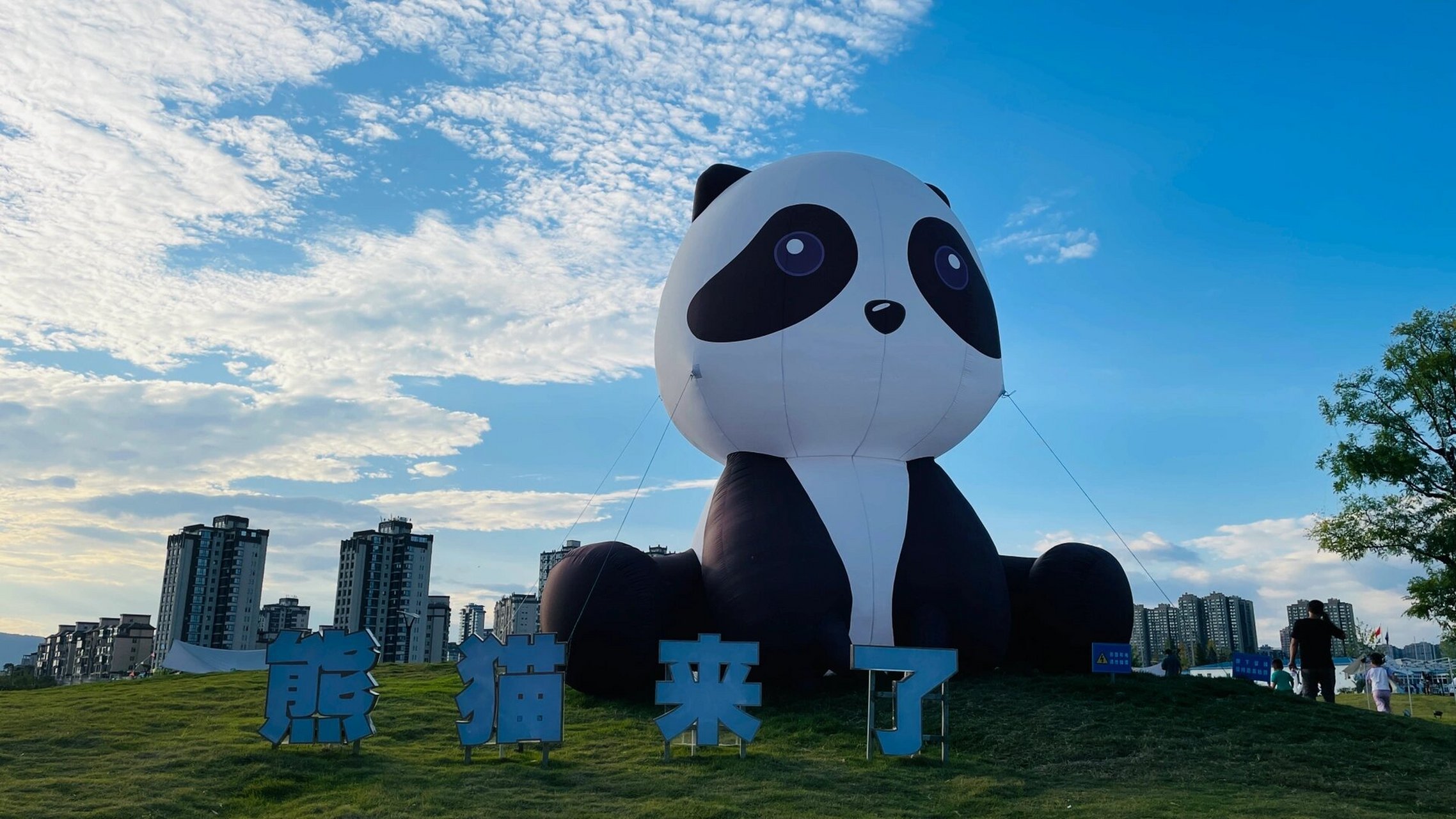 汉中旅游|熊猫主题乐园94 近日汉台又增加了一处打卡地 位于天汉大