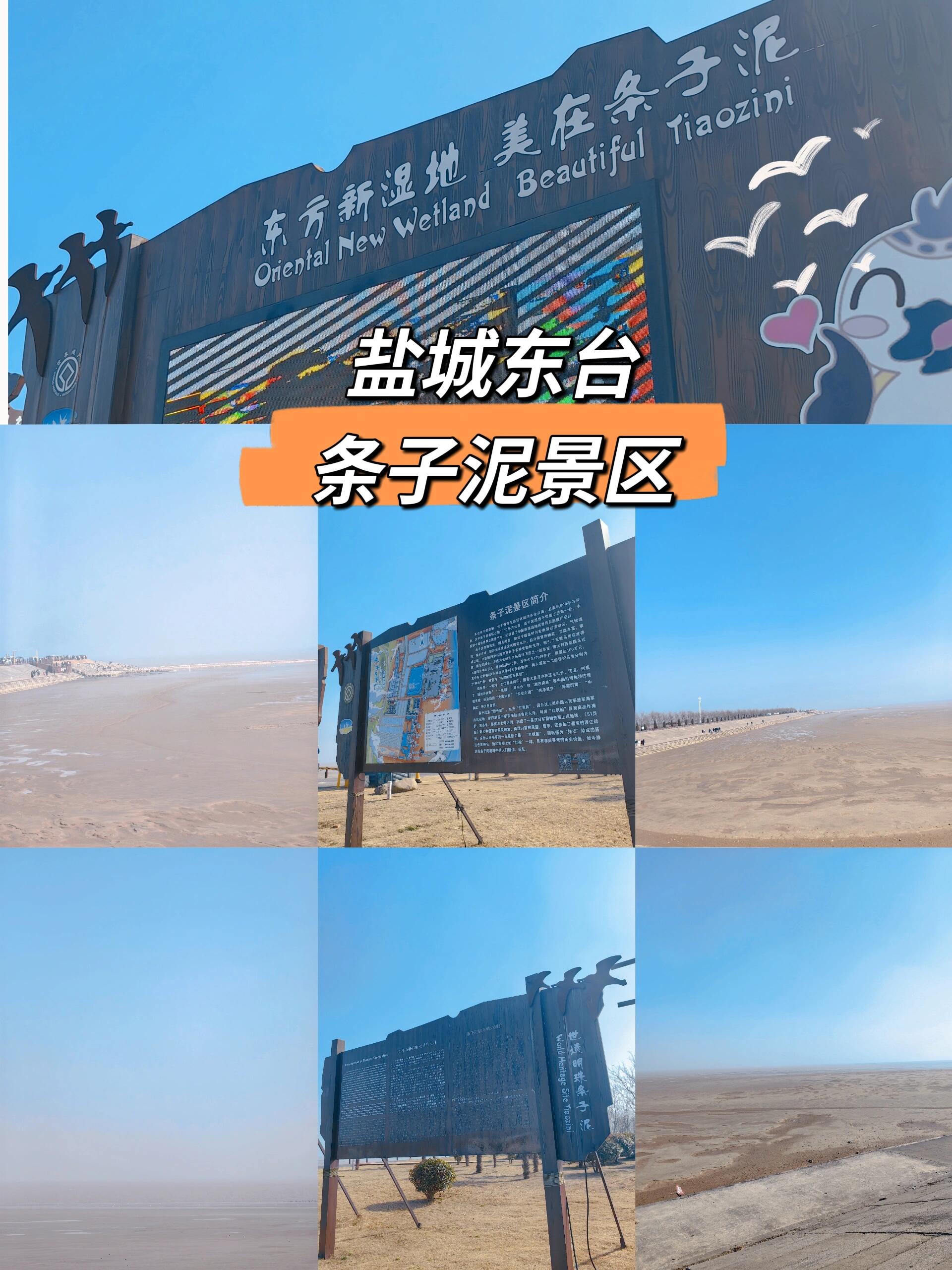 盐城东台条子泥景区