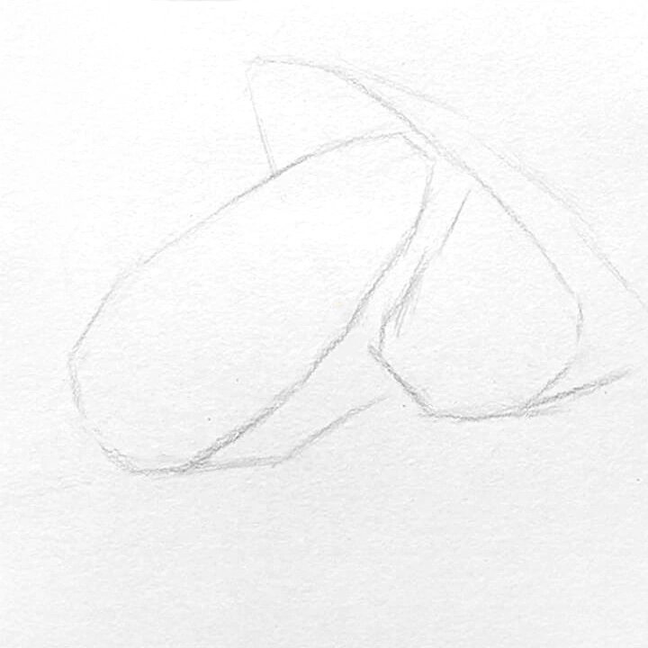 素描瓜子绘画详细步骤