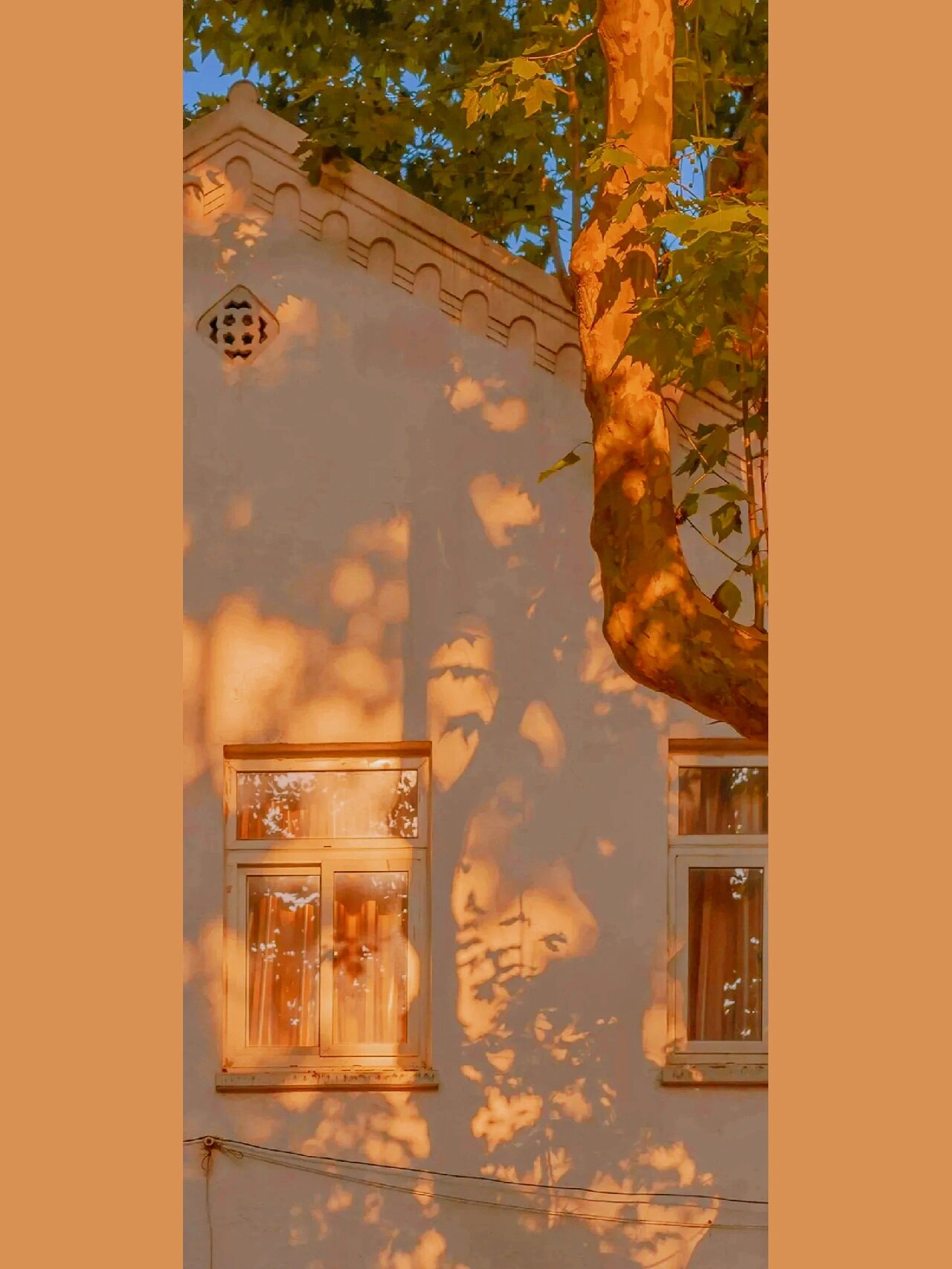 橘色系壁纸♡背景图 可抱