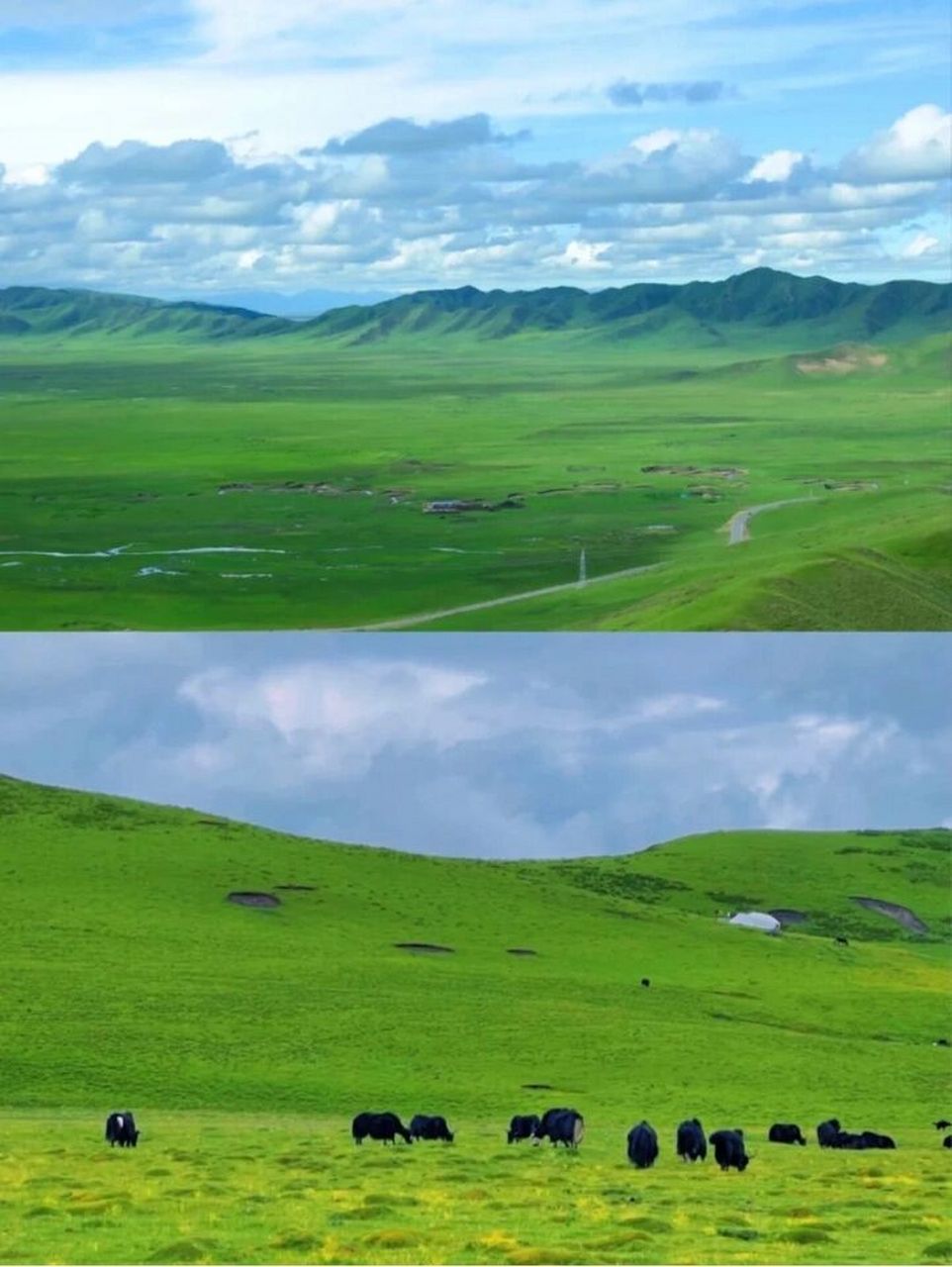 川西最美草原|若尔盖草原3日游超全攻略75 川西最美草原——若尔盖