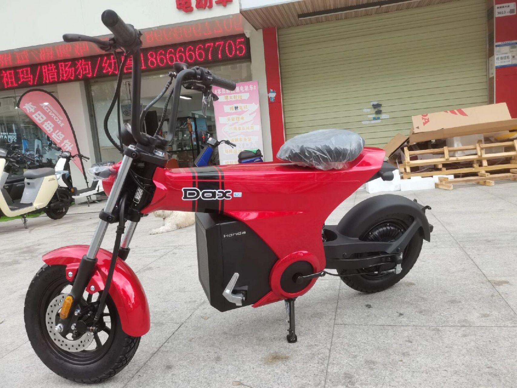 新大洲本田电动自行车dax 实车太受广大车友的喜爱了 牛油果绿 耀夜黑