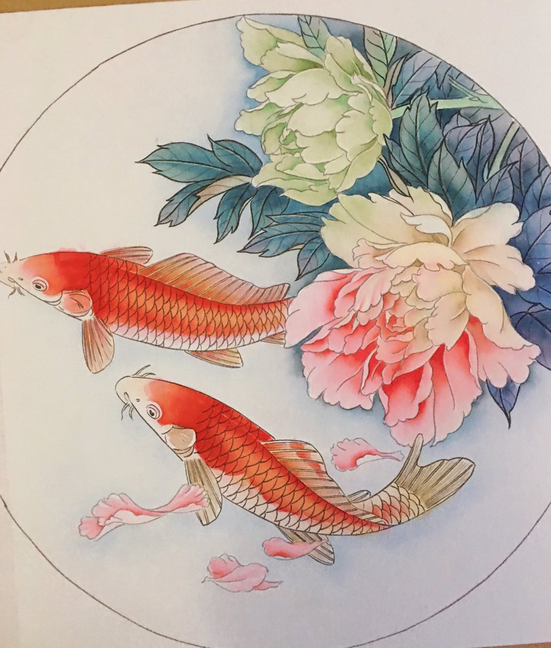 工笔鲤鱼牡丹【设色步骤】 临摹郑玲玲工笔鲤鱼