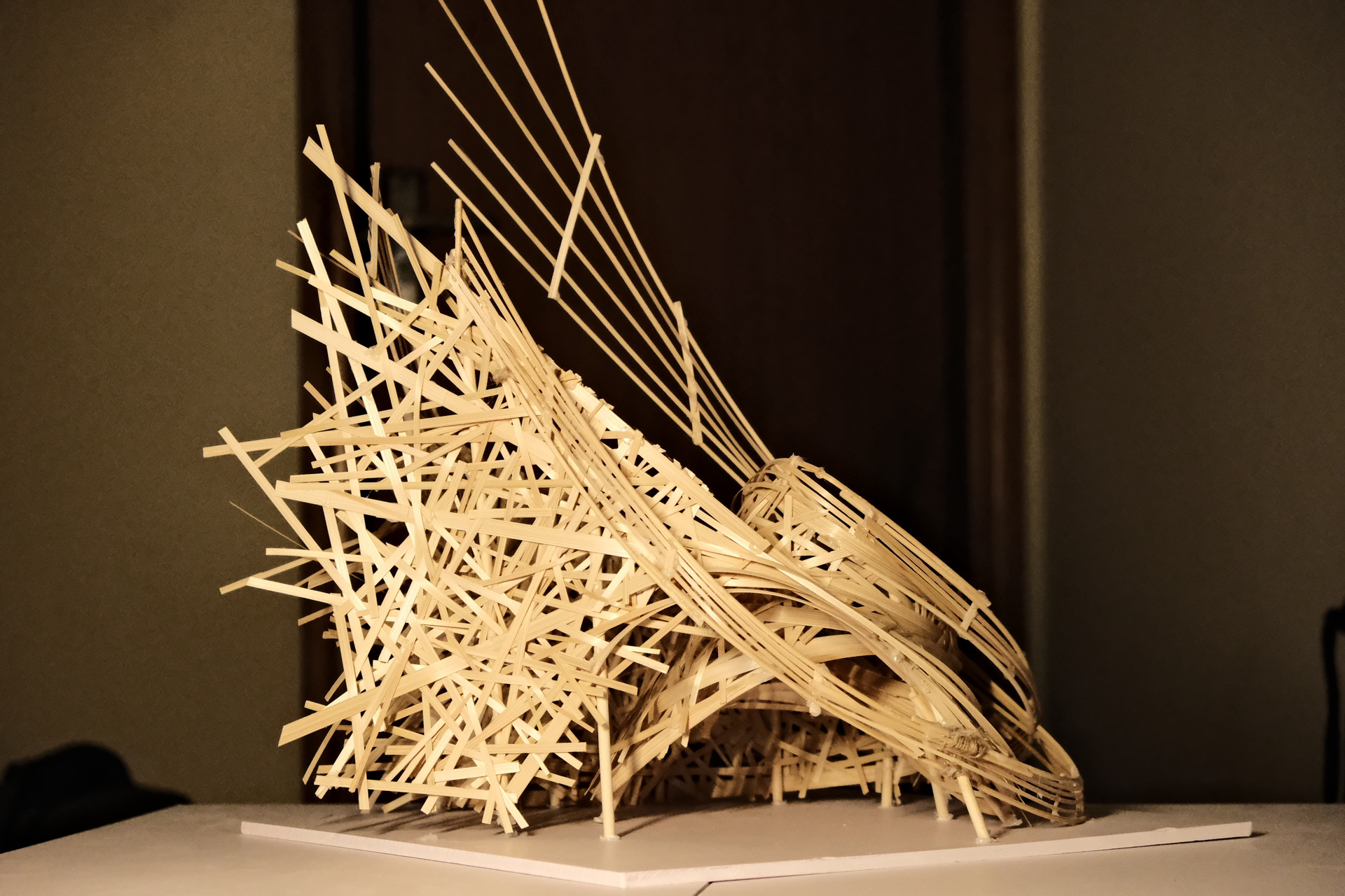 景观立体构成  | 竹构 之前跟我的uu们一起做的一个立构 想去表达的是