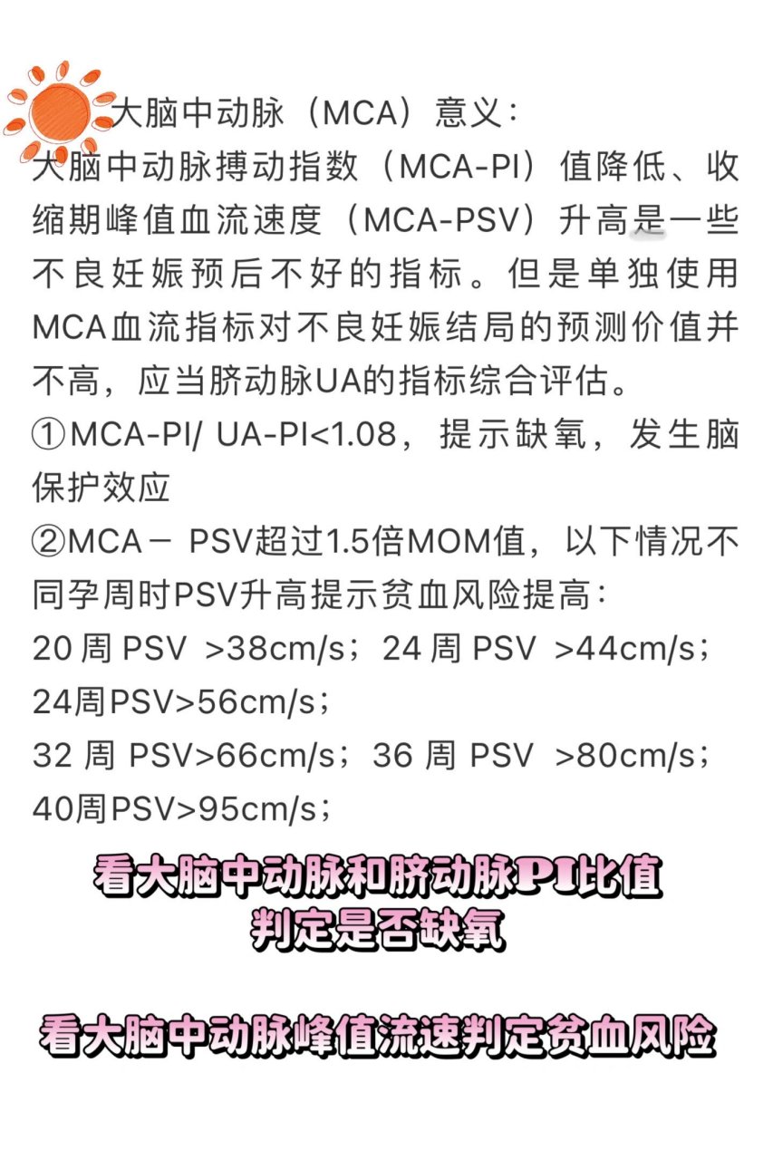 胎儿脐动脉与大脑中动脉血流的测值与意义 脐动脉血流是超声常见的一