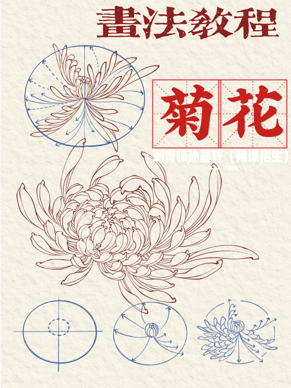 新传统必修课 菊花画法 新传统常见元素 菊花 结构分解77多角度叶片