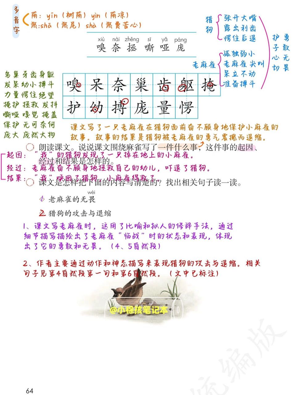 四上语文|第16课《麻雀》超详笔记来啦97 这课笔记做了超级久习作