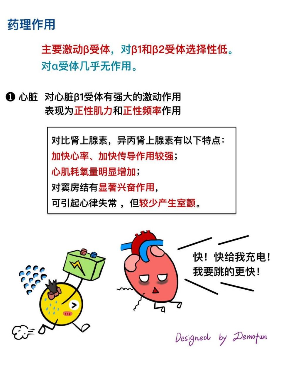今日分享药理学知识异丙肾上腺素的药理作用