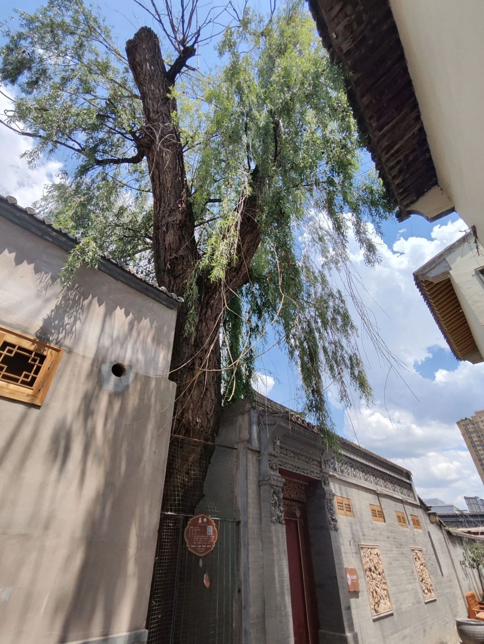 临夏 八坊十三巷,其中民俗馆值得一去 东公馆 非遗:蛋雕,土雕,砖雕,刻