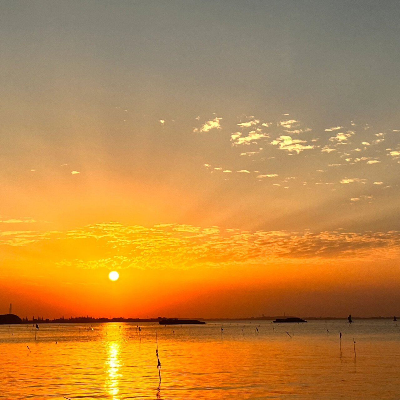 上海淀山湖|报国寺|小渔村|绝美日落 淀山湖真的值得,趁着周末终于网