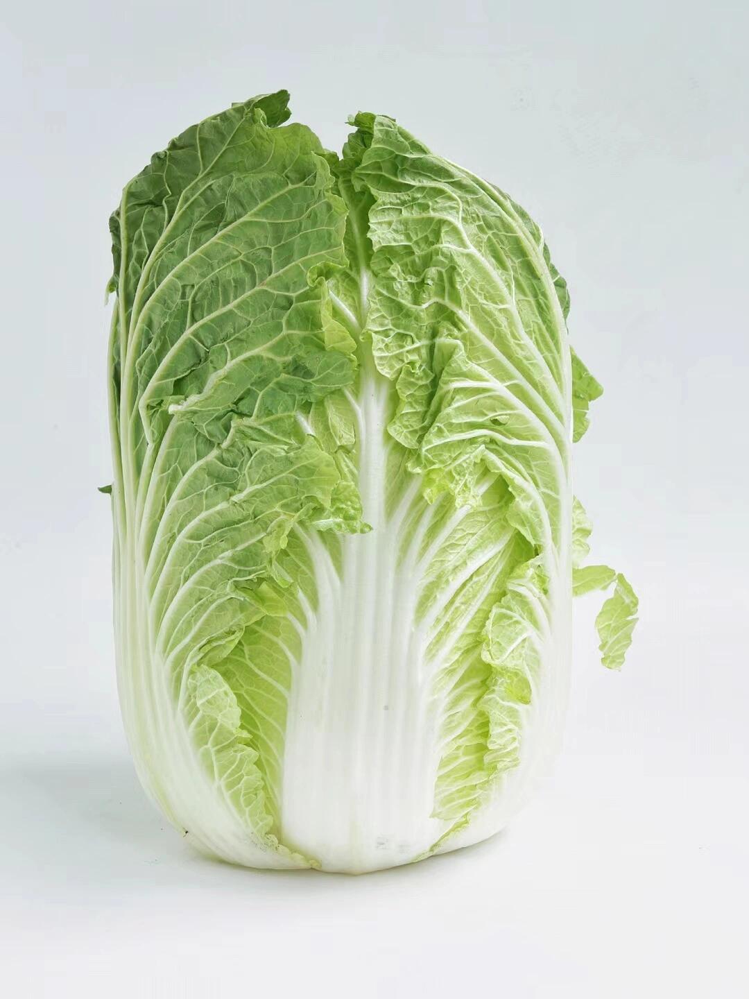 "华北的大白菜堪称一绝.山东的黄芽白销行江南一带