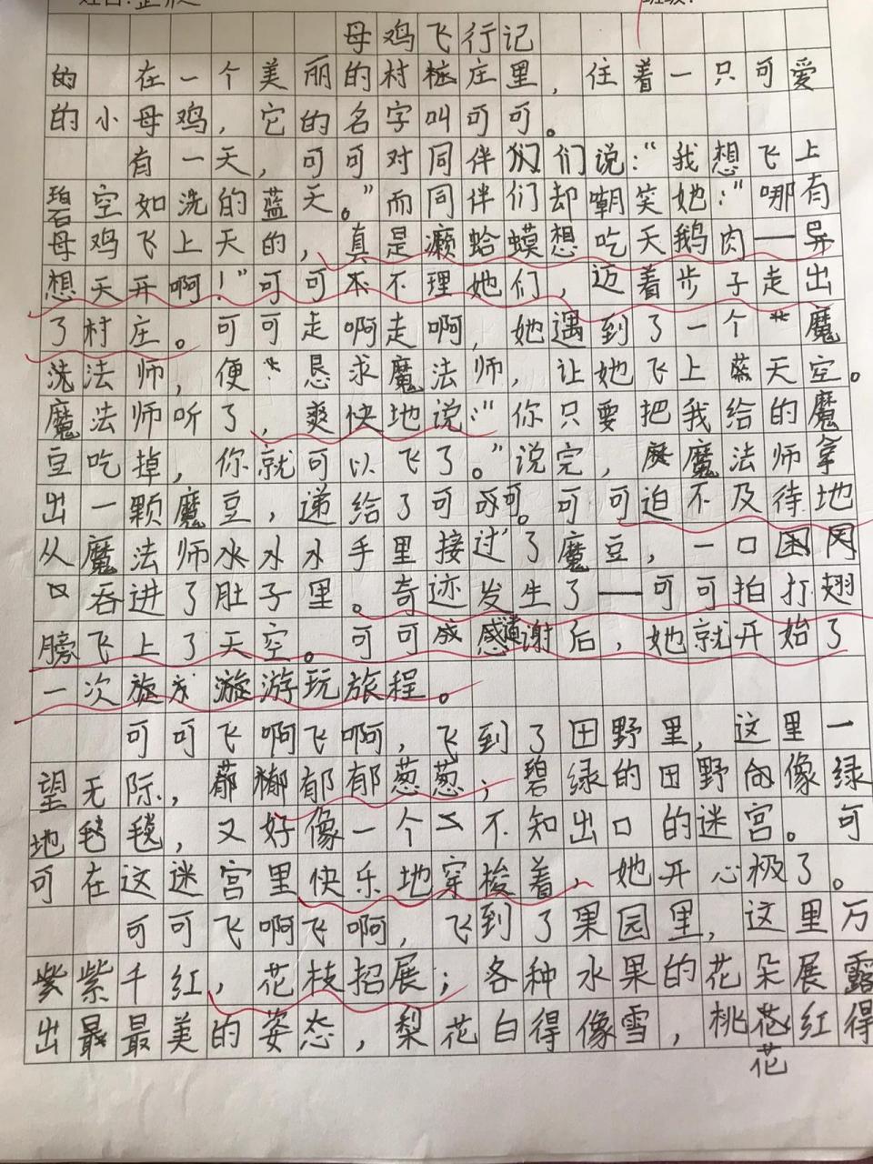 三下第八单元作文 想象作文—会飞的母鸡