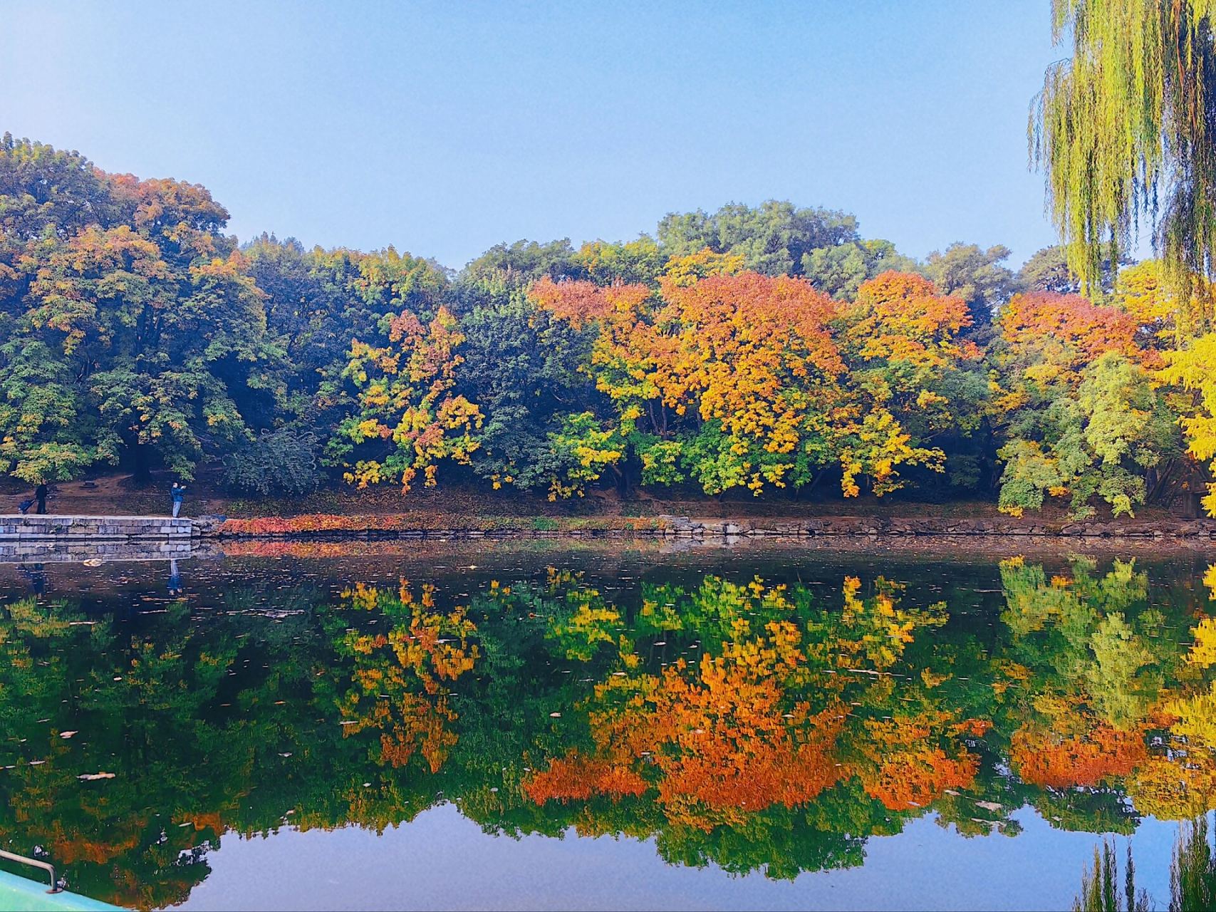 颐和园后湖   后湖的美景这周末进入最美,动起来吧!