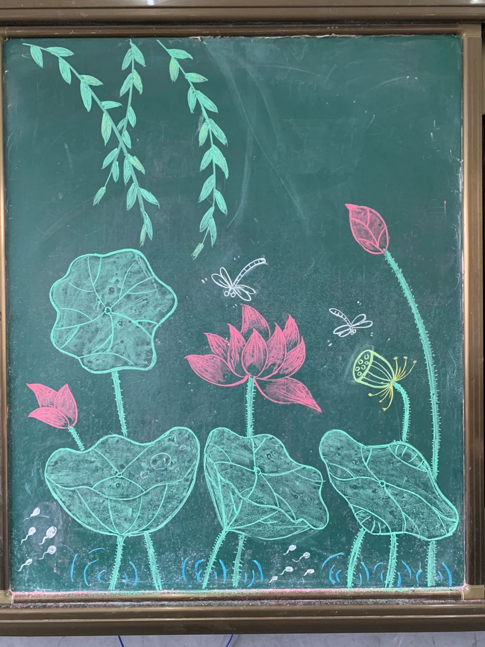 荷叶荷花蜻蜓 儿童简笔画