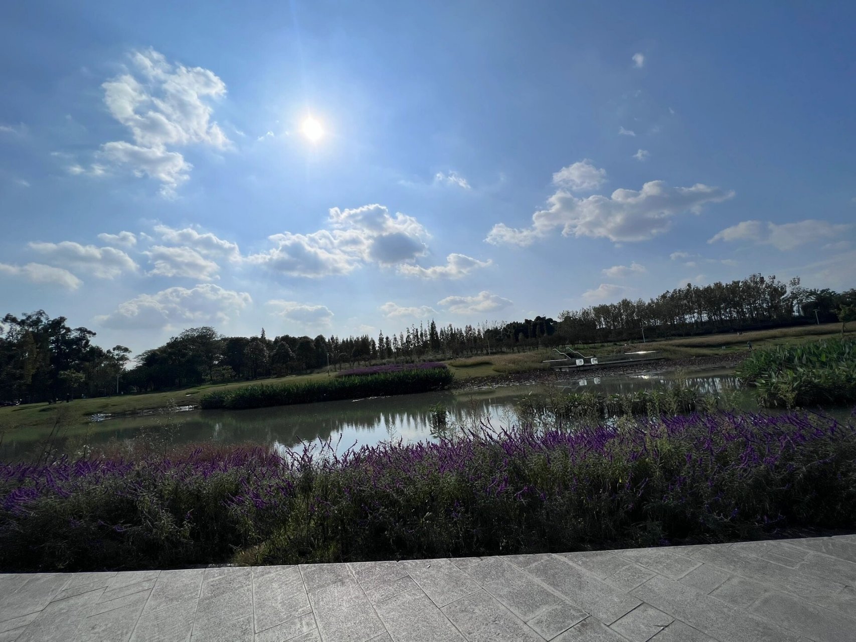 周末不知道去那里玩可以去两河城市森林公园,太阳晒起太舒服了,可以