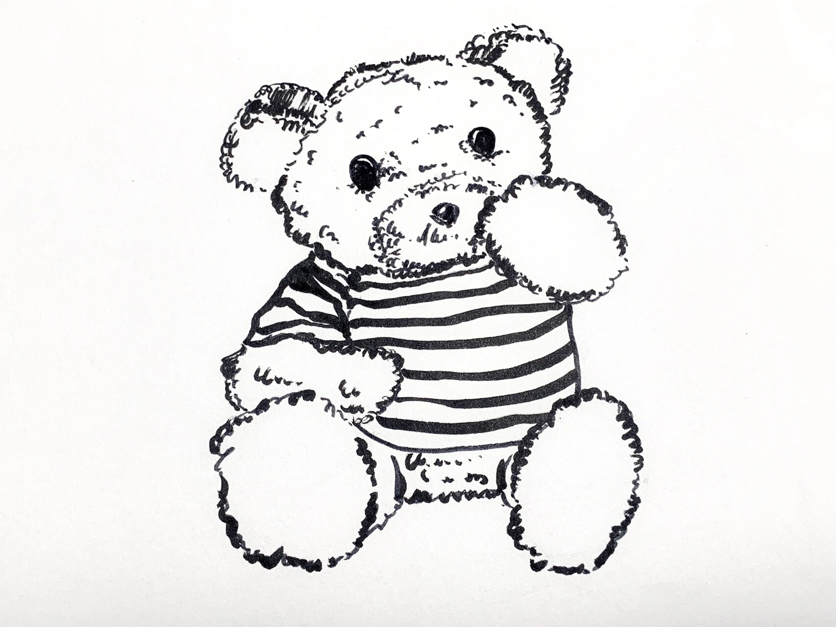 美术线描写生-泰迪熊02