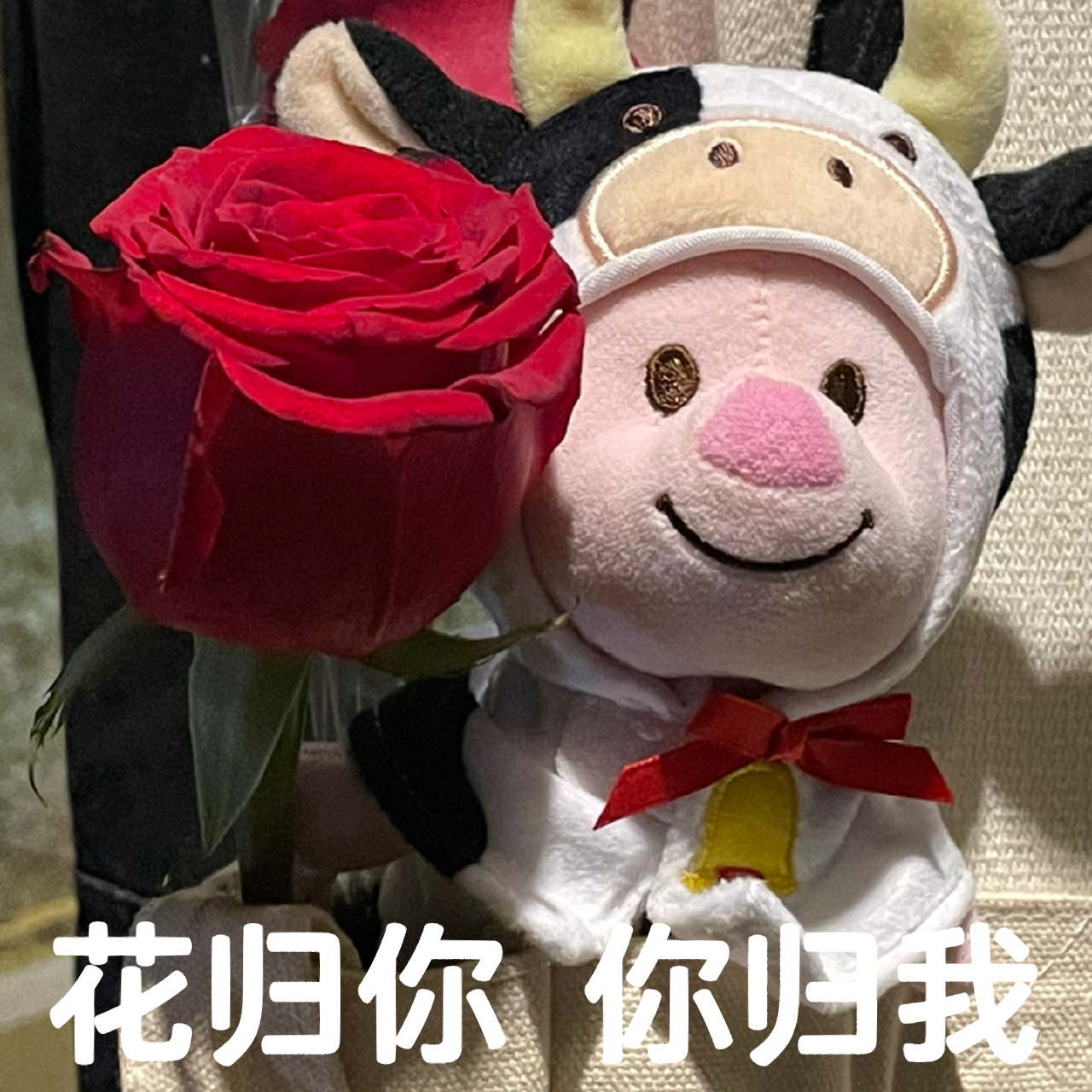 皮皮献给最美丽的你们91 献给皮皮后援团的宝们 永远美丽动人善良