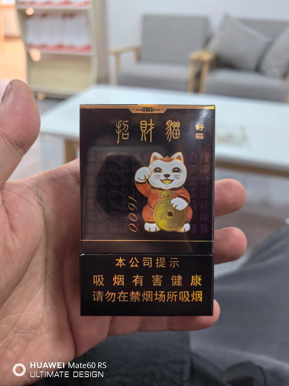 好猫招财猫1600图片