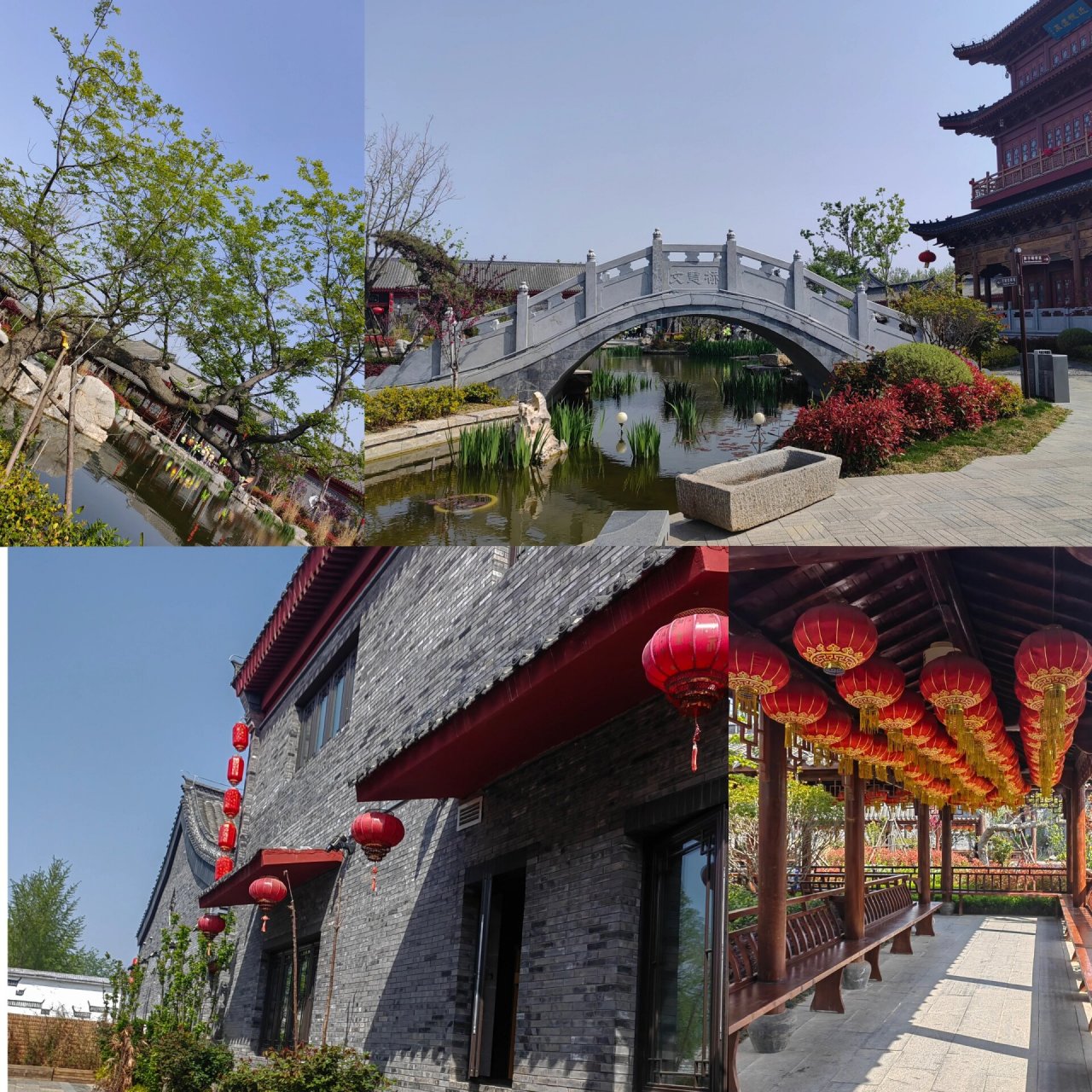 临沭朱村一日游 #春日出游# 春天永远美好,可爱的人们永远相识93