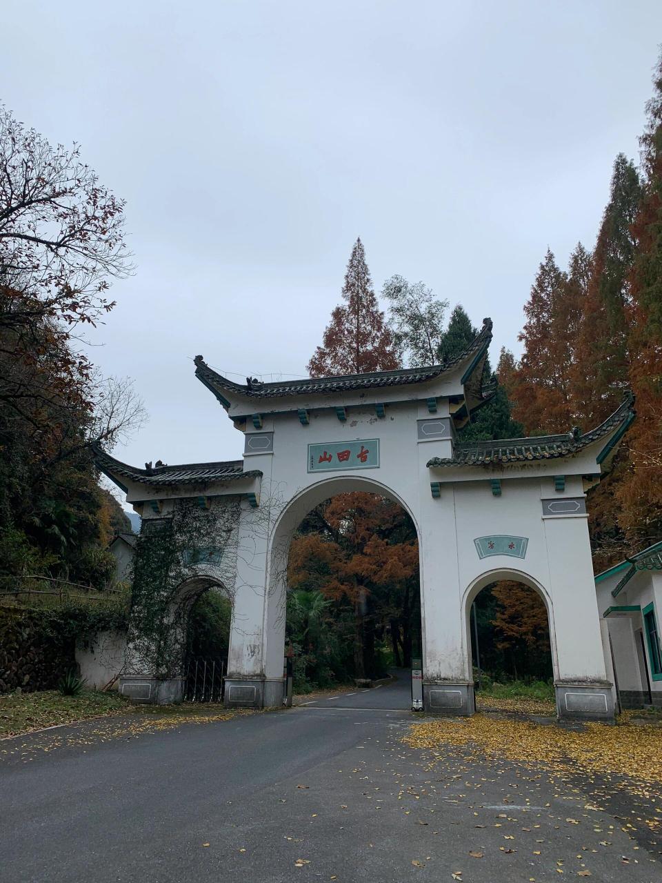 开化古田山 钱江源国家公园之古田山国家级自然保护区位于开化苏庄