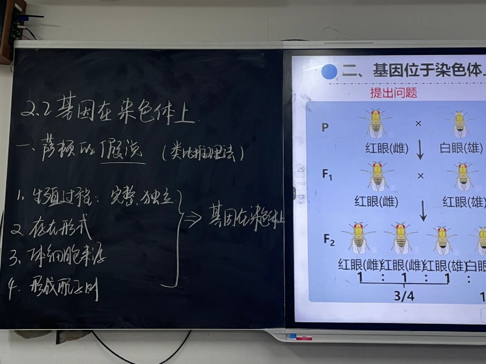 高中生物板书高一图片